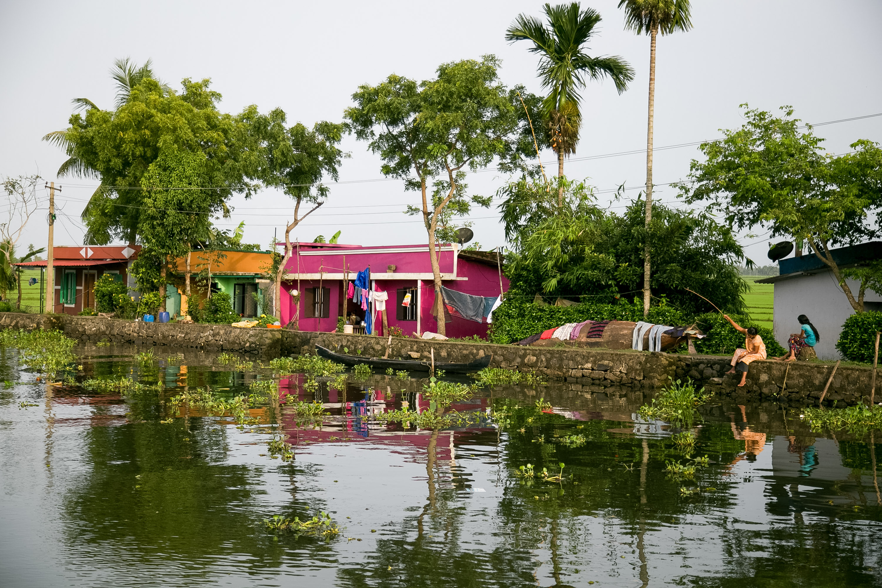 Palm trees and colorful houses line a backwater canal reflected in the still water