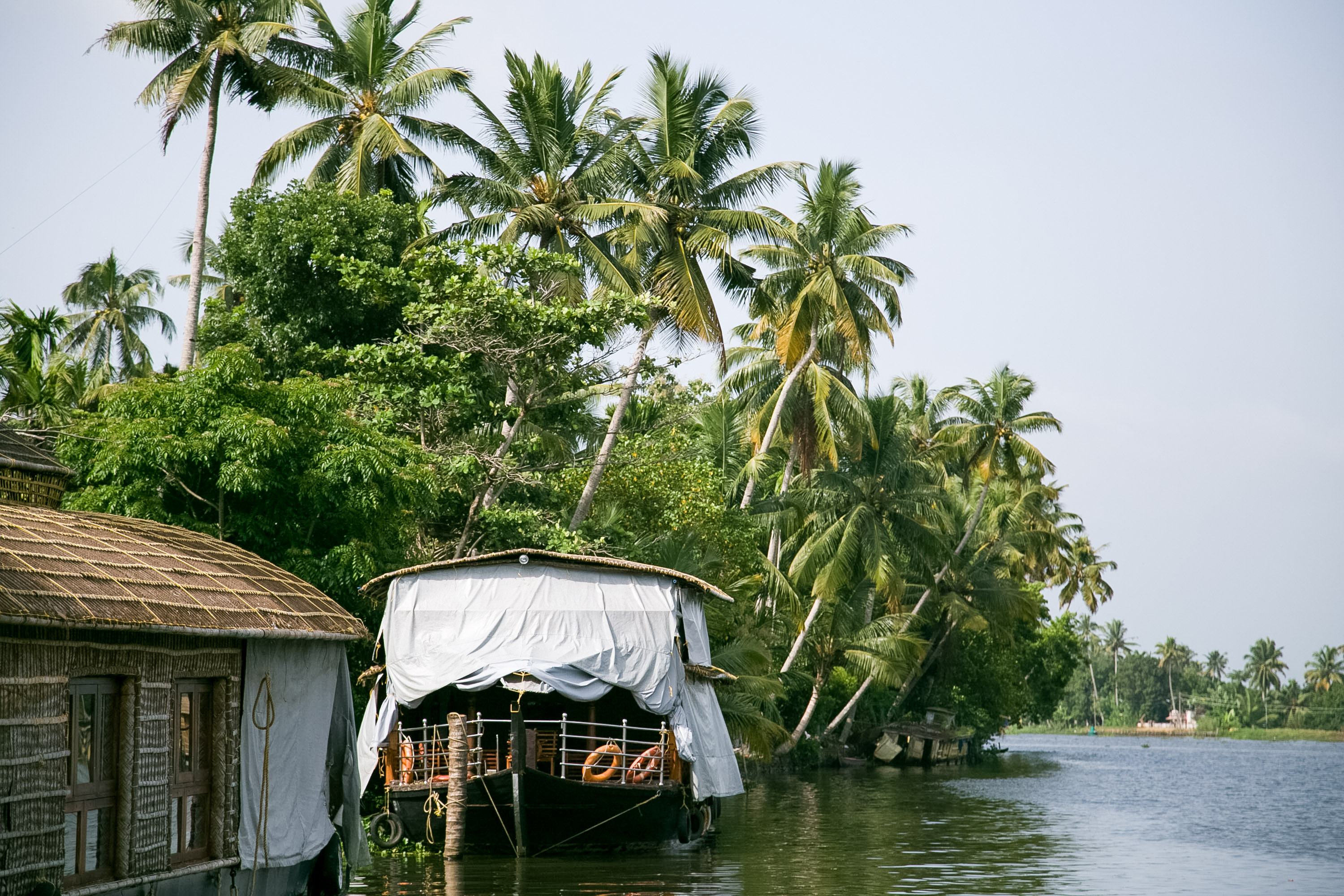 A traditional houseboat moored along a palm-lined backwater channel