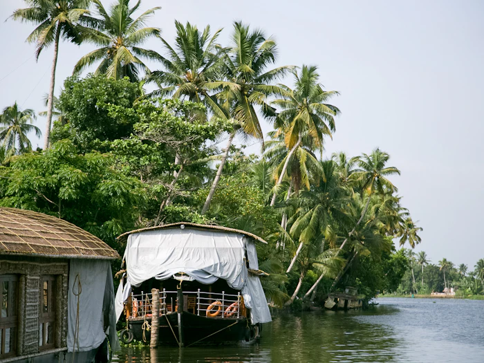 A traditional houseboat moored along a palm-lined backwater channel.