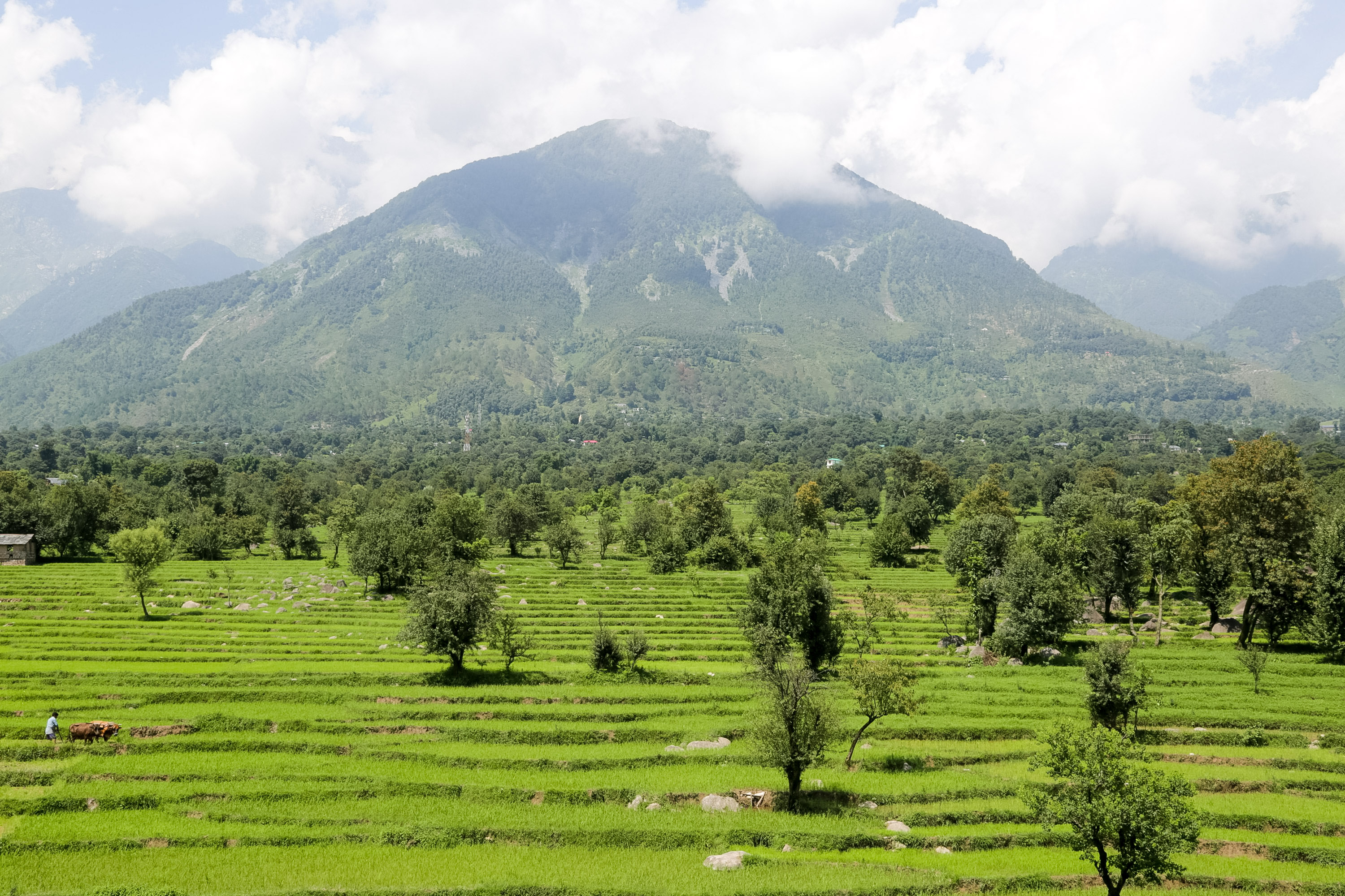 Terraced green fields stretch toward a cloud-wrapped mountain