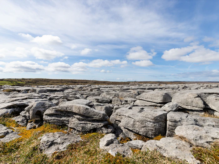 Fissured grey limestone pavement stretches to a low horizon under broken cloud, with tufts of grass in the cracks.
