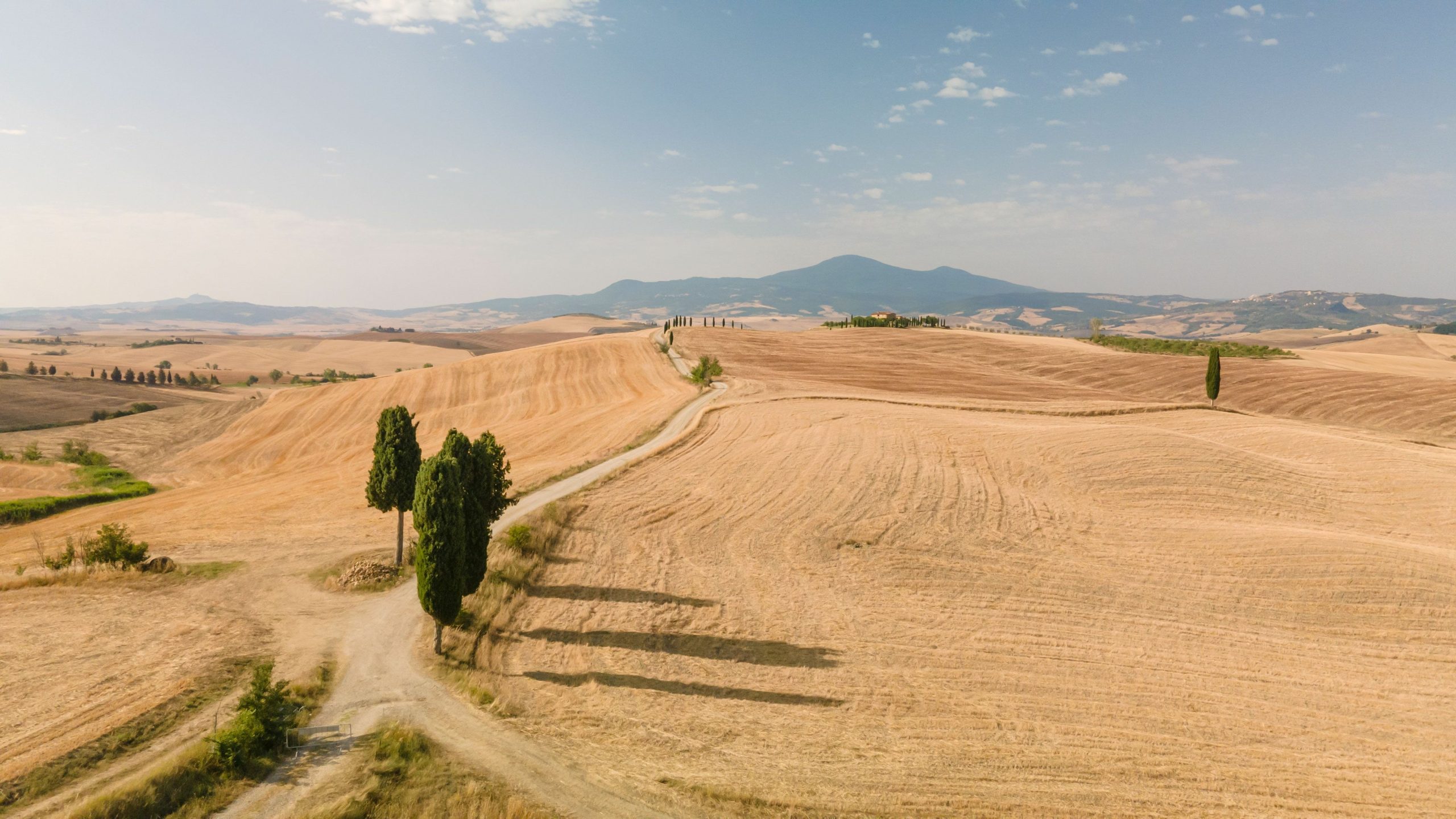 Italian Landscape Tuscany