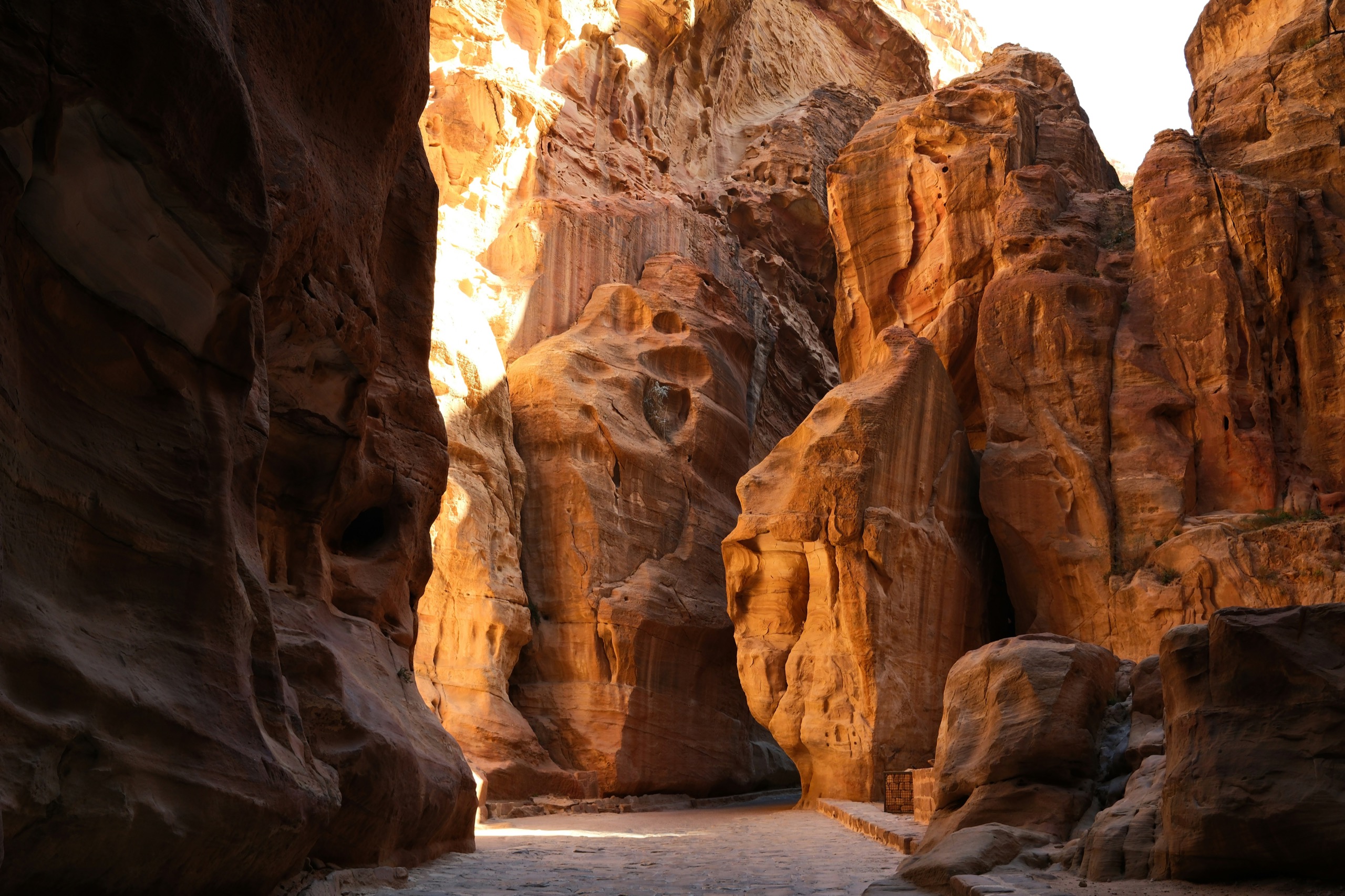 A narrow sandstone canyon opens to sunlight, its walls curving in from both sides.