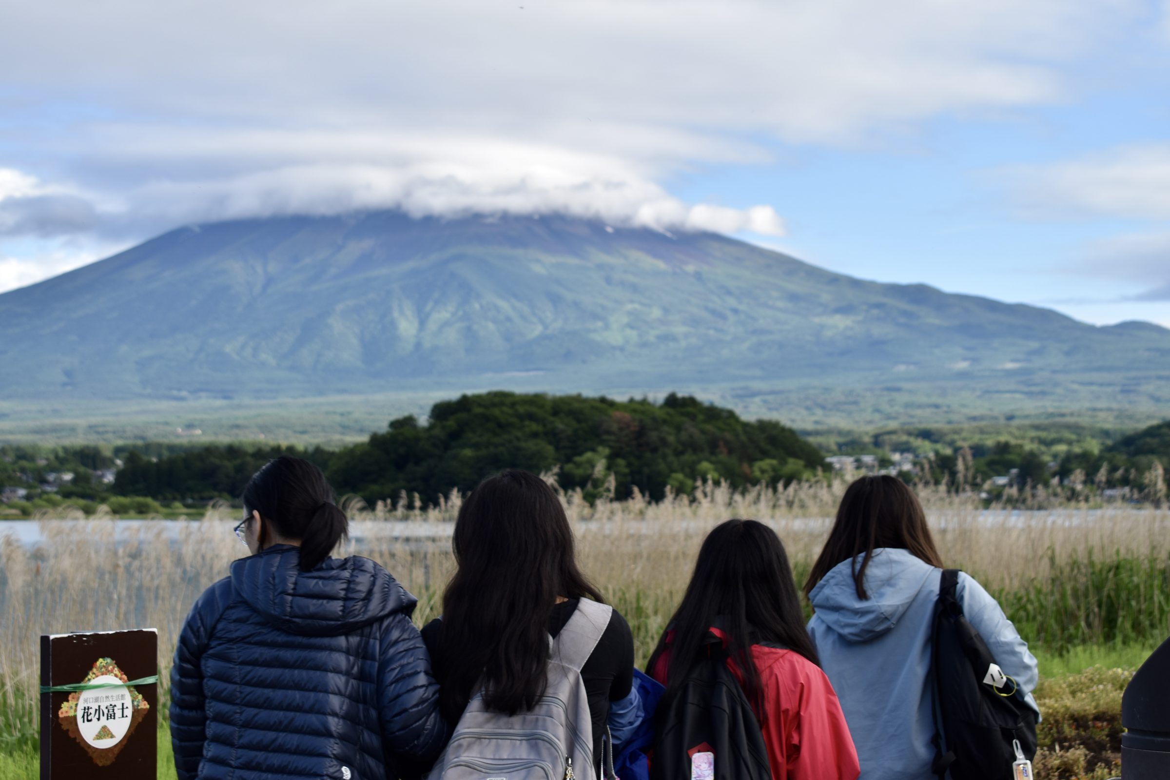 Students look out across reed beds and a lake toward the clouded cone of Mount Fuji