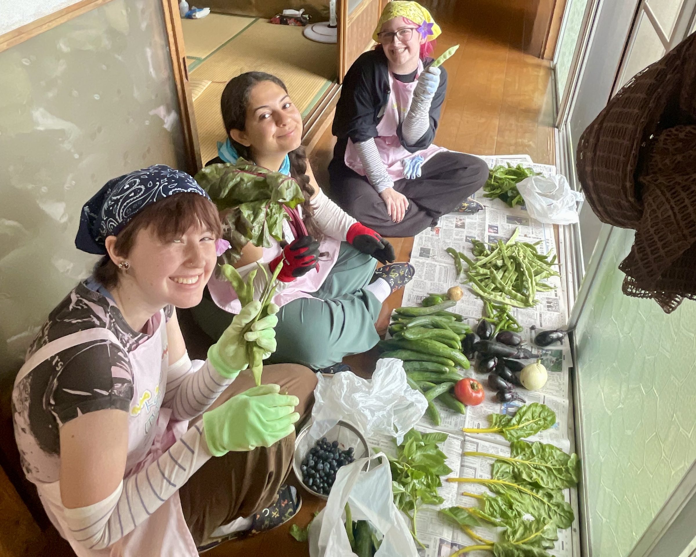 Students in aprons and gloves sort beans, aubergines and greens laid out on newspaper indoors