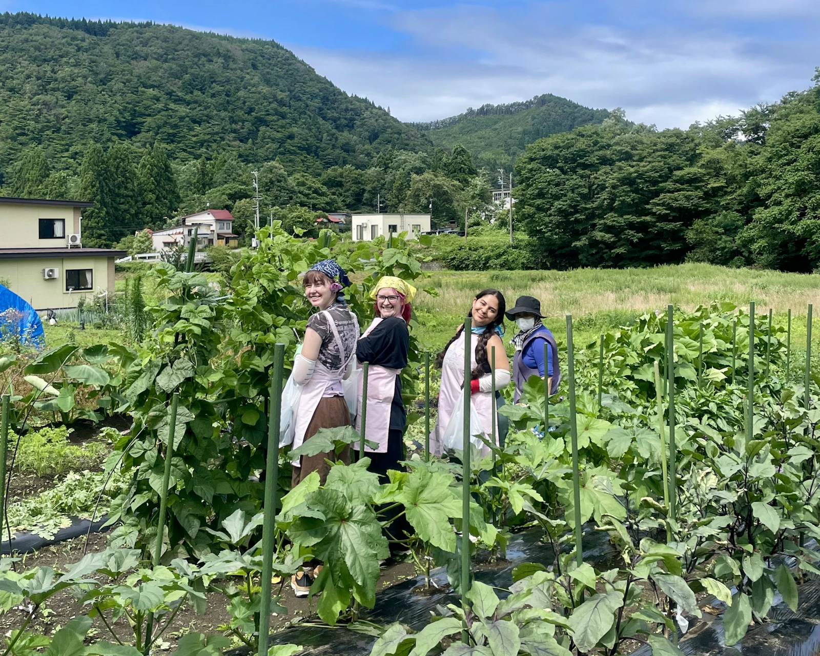 Four teen travelers in aprons and head scarves stand among tall rows of vegetables in a Japanese farm field, hills behind.