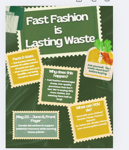 Joanna Zhu - Not Just Clothes: Fighting Fast Fashion - Image 3