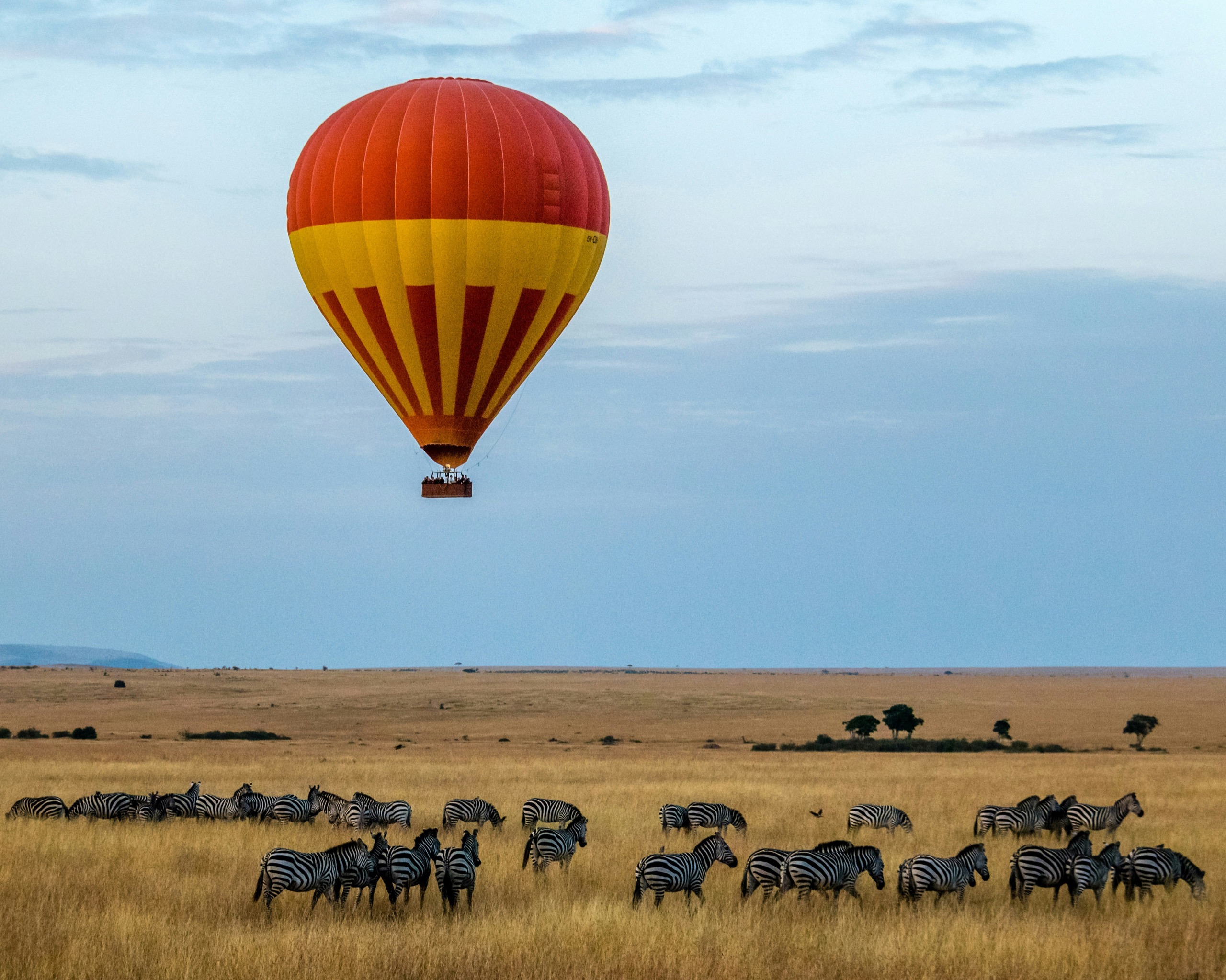 A red and yellow hot air balloon floats over a savanna where a herd of zebras grazes in golden grass.