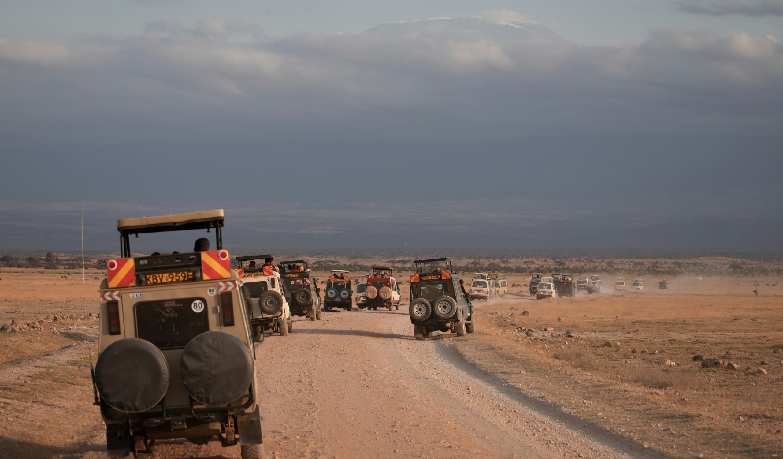 A line of open-sided safari vehicles raises dust as it moves down a dirt track across open grassland.