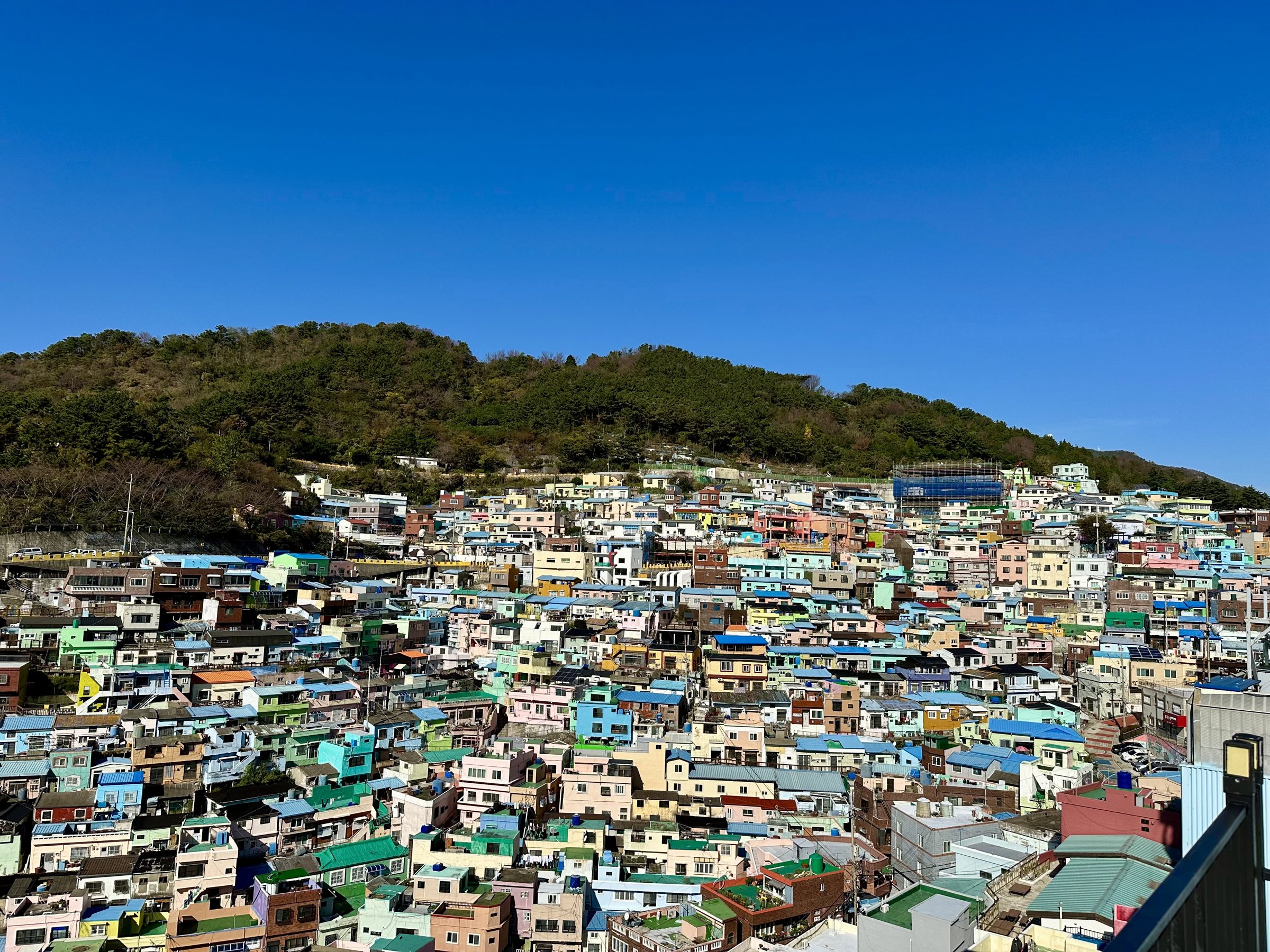 The painted houses of Gamcheon Culture Village stacked up the hillside above Busan