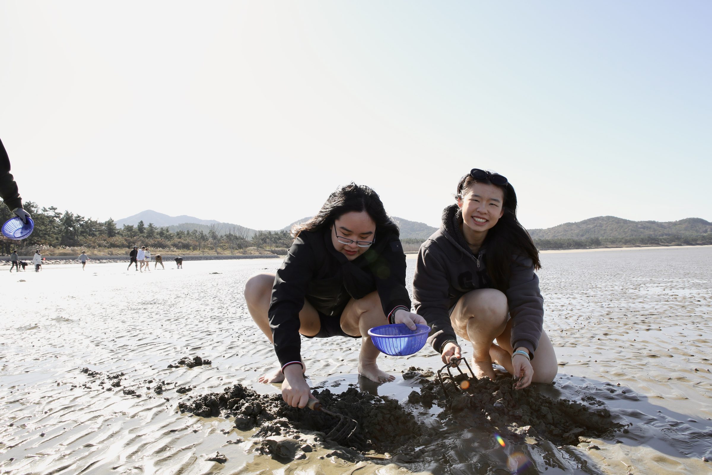 Two students crouch on the tidal mudflats digging for clams, a bowl between them