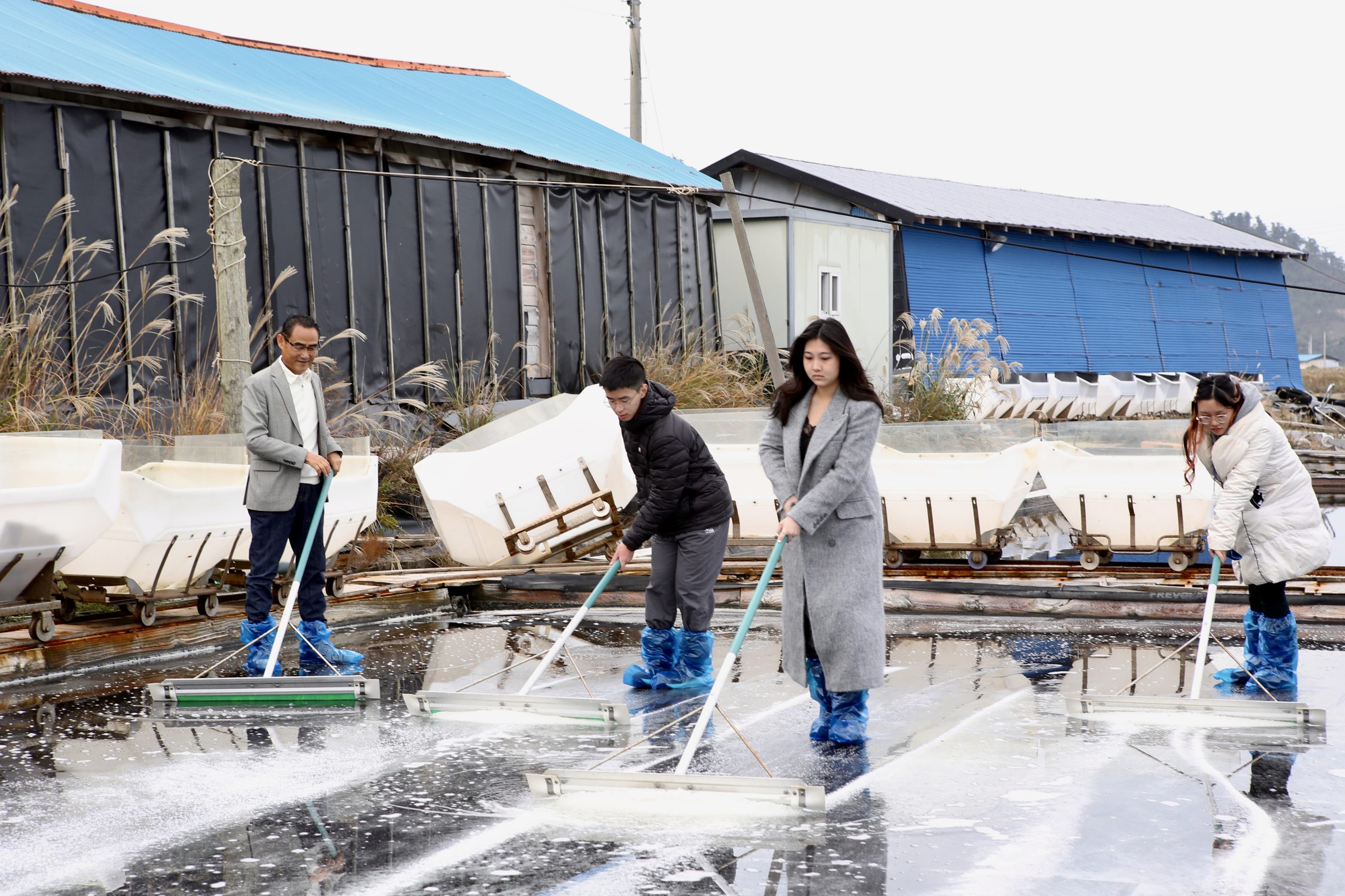 Students in boots work a flooded solar salt field with wooden rakes alongside local farmers