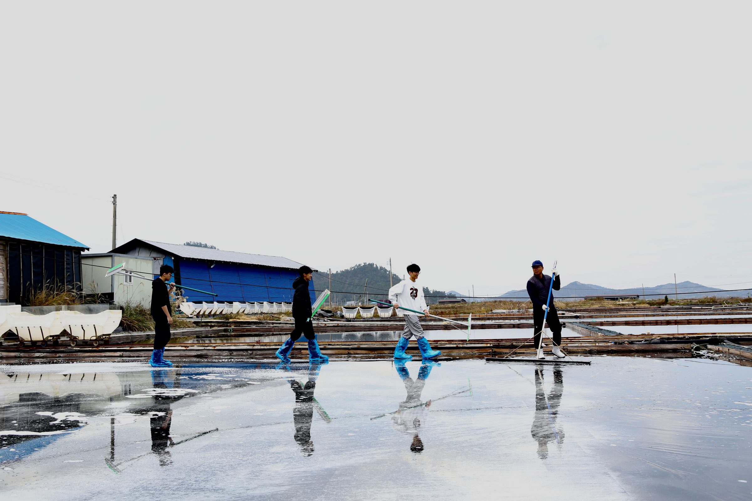 Students walk the mirrored surface of a solar salt field, salt piled in low mounds behind them