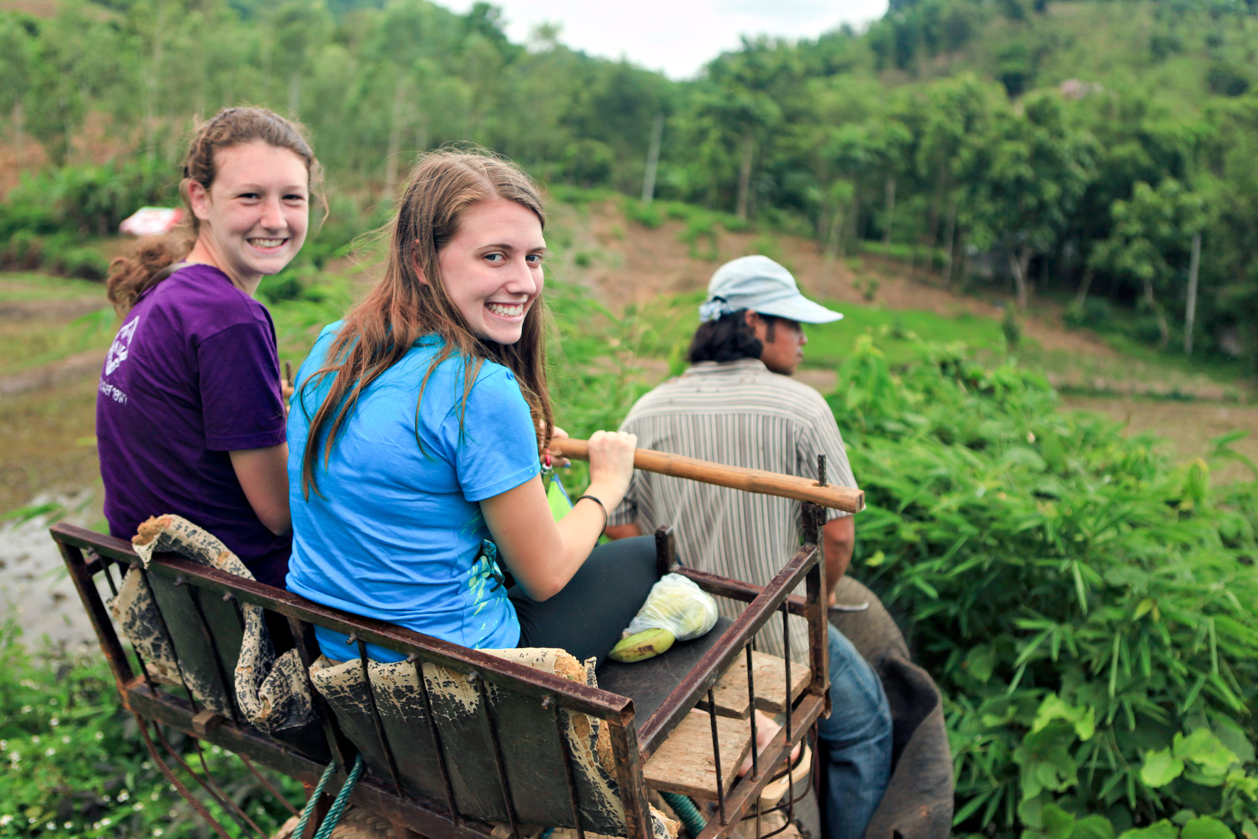 Students ride a wooden cart pulled through green fields with a local guide