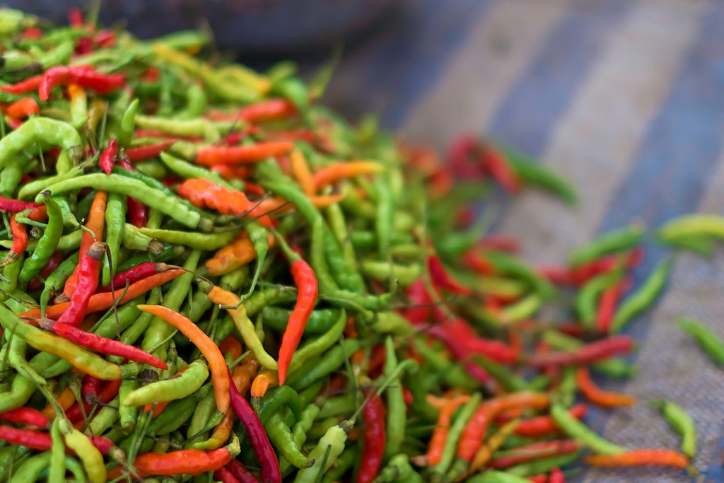 Bird’s Eye Chili plants