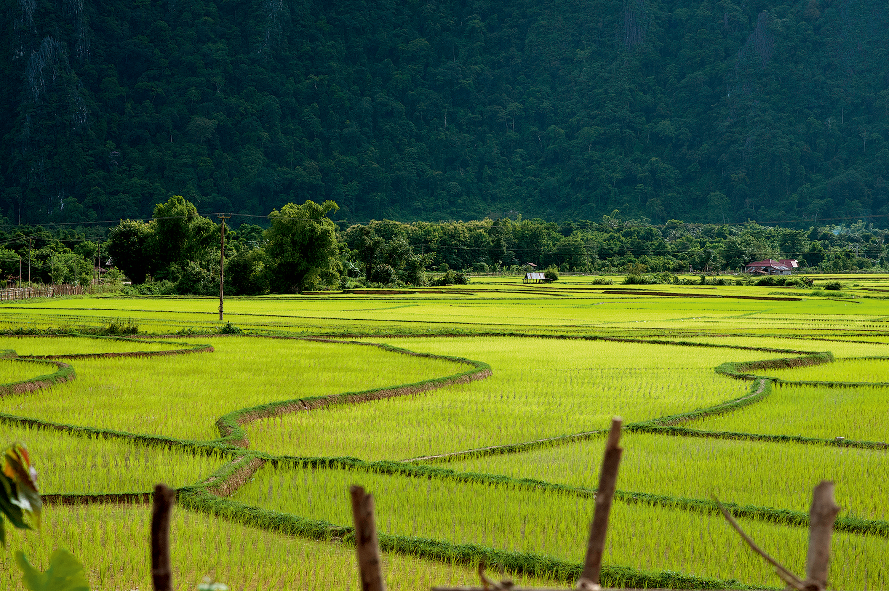 Teen travel programs in Laos