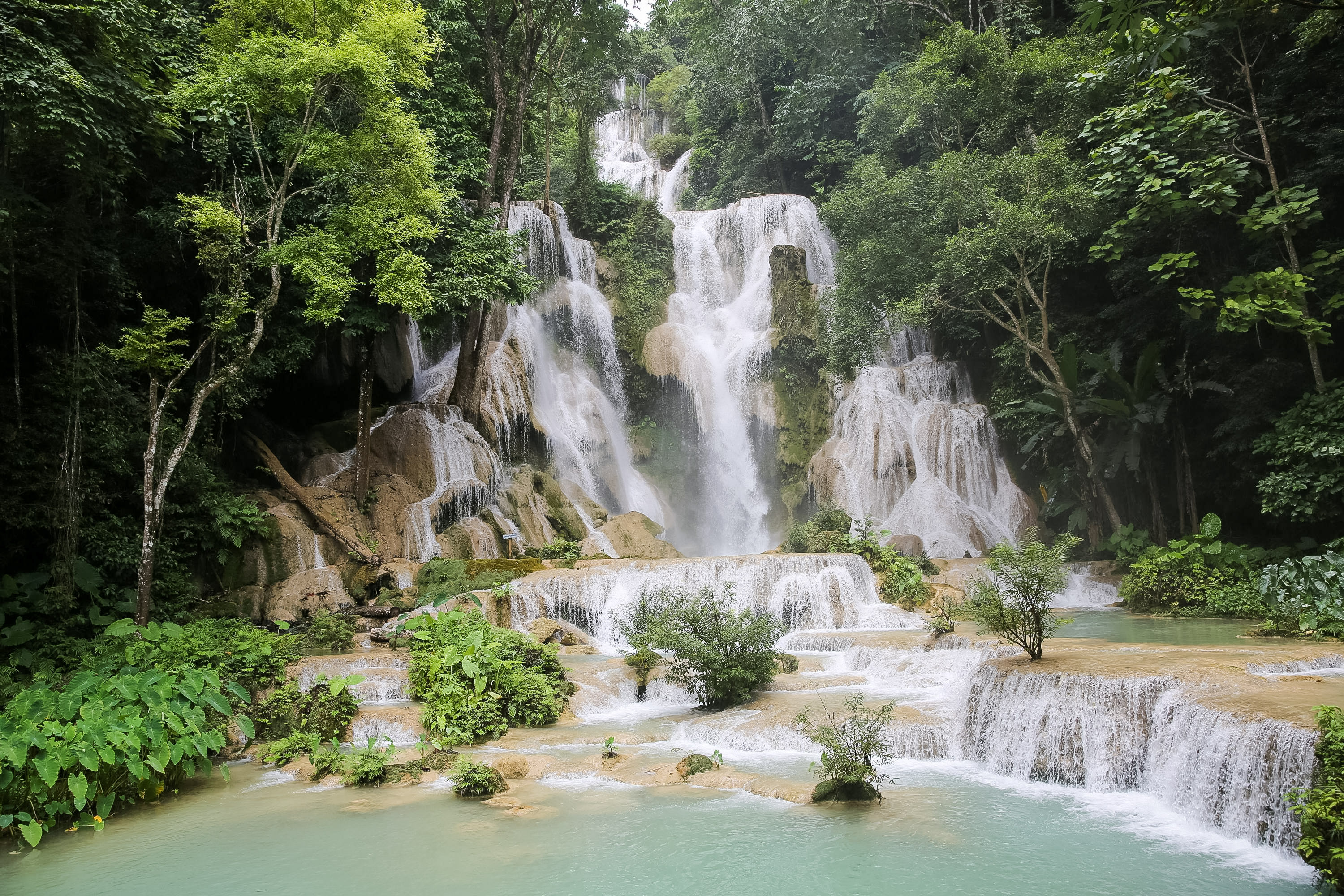 School Trip to Laos: Mekong Service and Culture