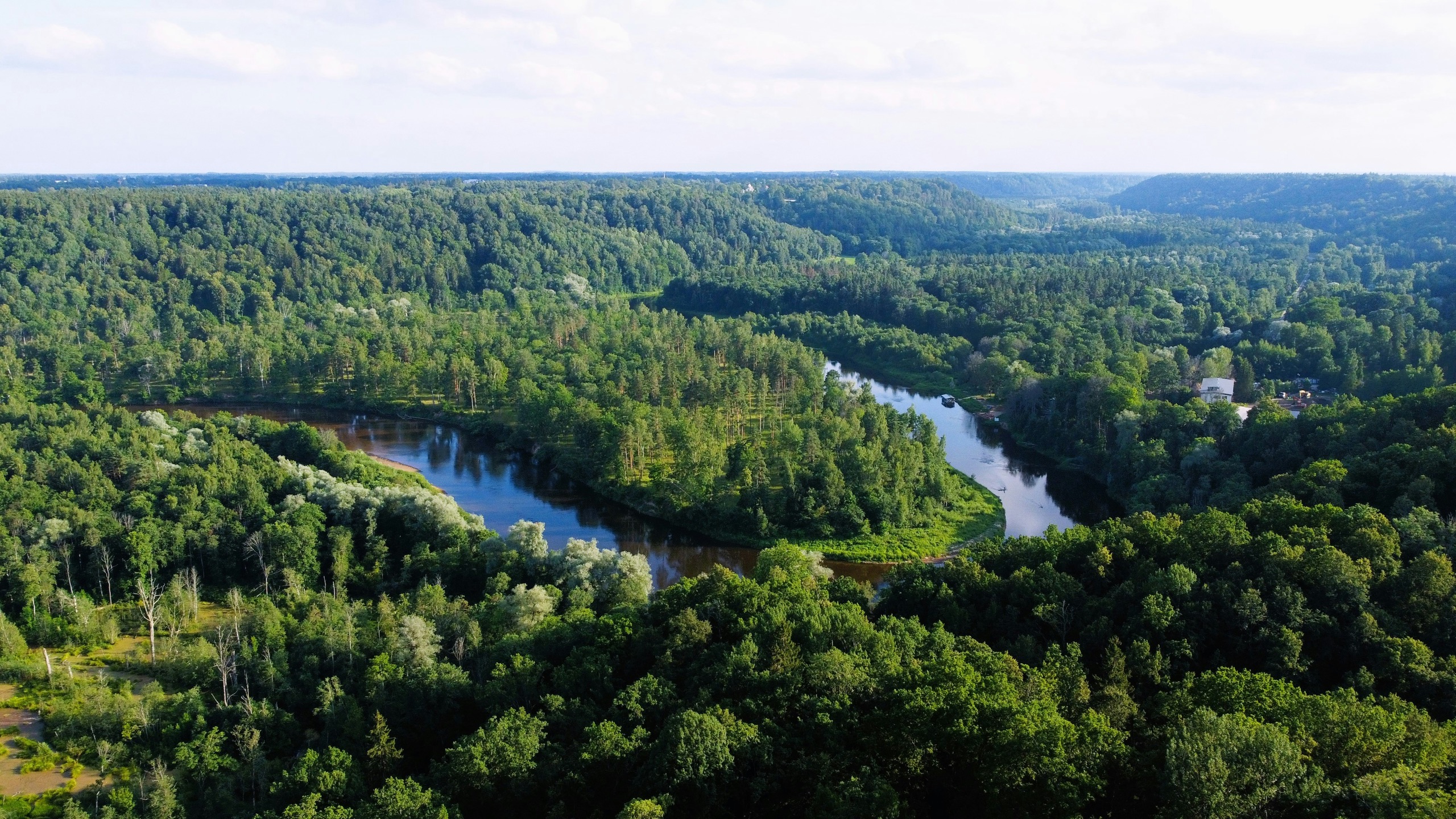 A river bends through unbroken forest toward a low horizon, seen from above.
