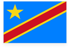 Democratic Republic of the Congo Flag