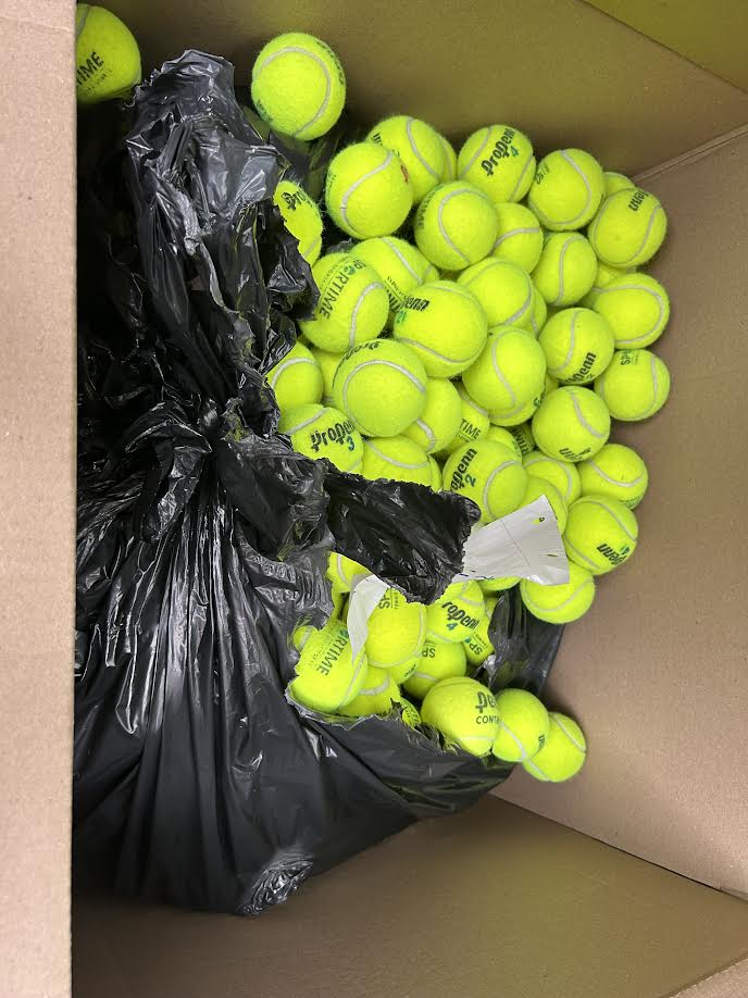 Lucas Rafiy - Repurposing Tennis Balls for School and Sustainability - Image 1