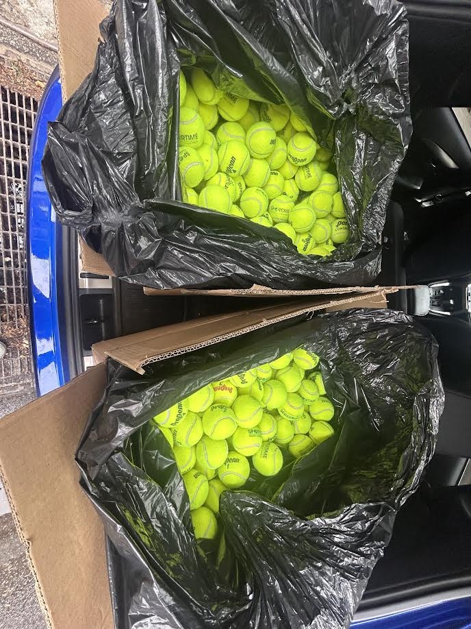 Lucas Rafiy - Repurposing Tennis Balls for School and Sustainability - Image 2
