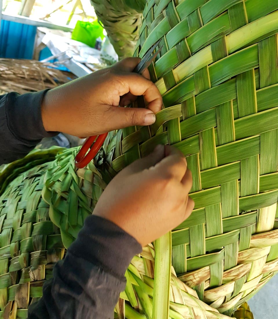 Hands weave green coconut-frond palm leaves into a basket