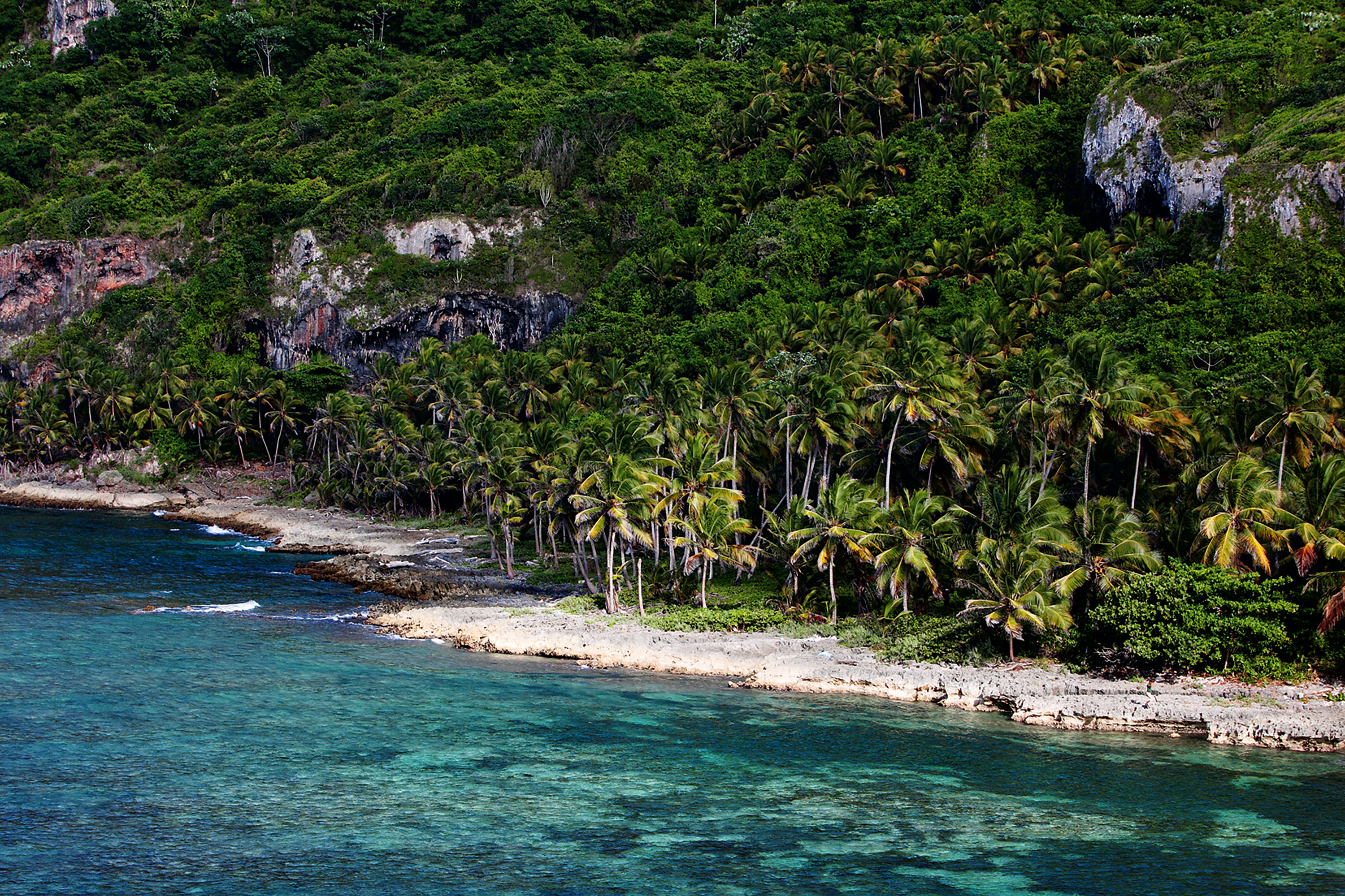 Teens overlook a rocky coastline where palm trees line the turquoise water