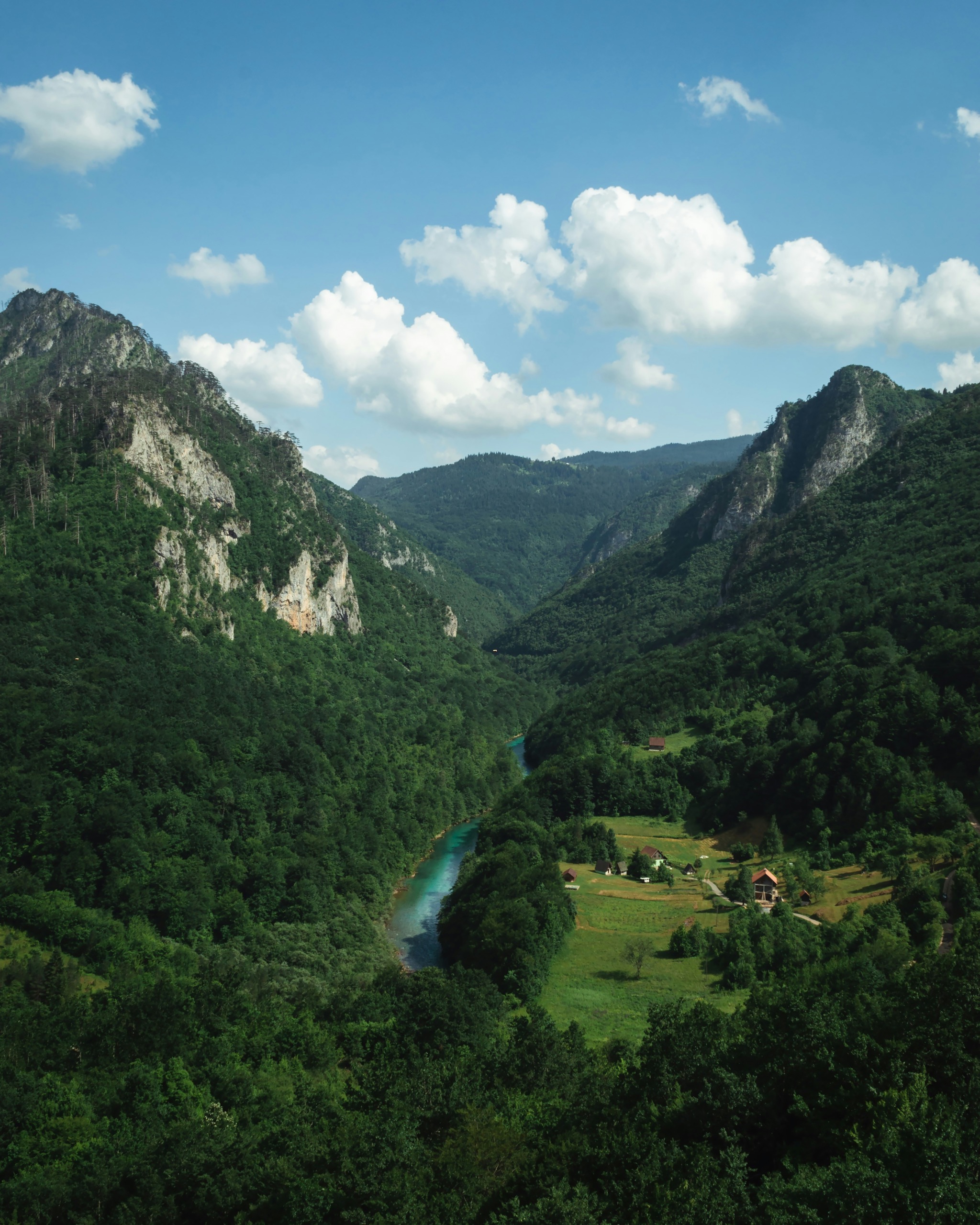 The turquoise Tara River winding through a deep forested canyon, with a cluster of houses and cleared pasture on the valley floor.