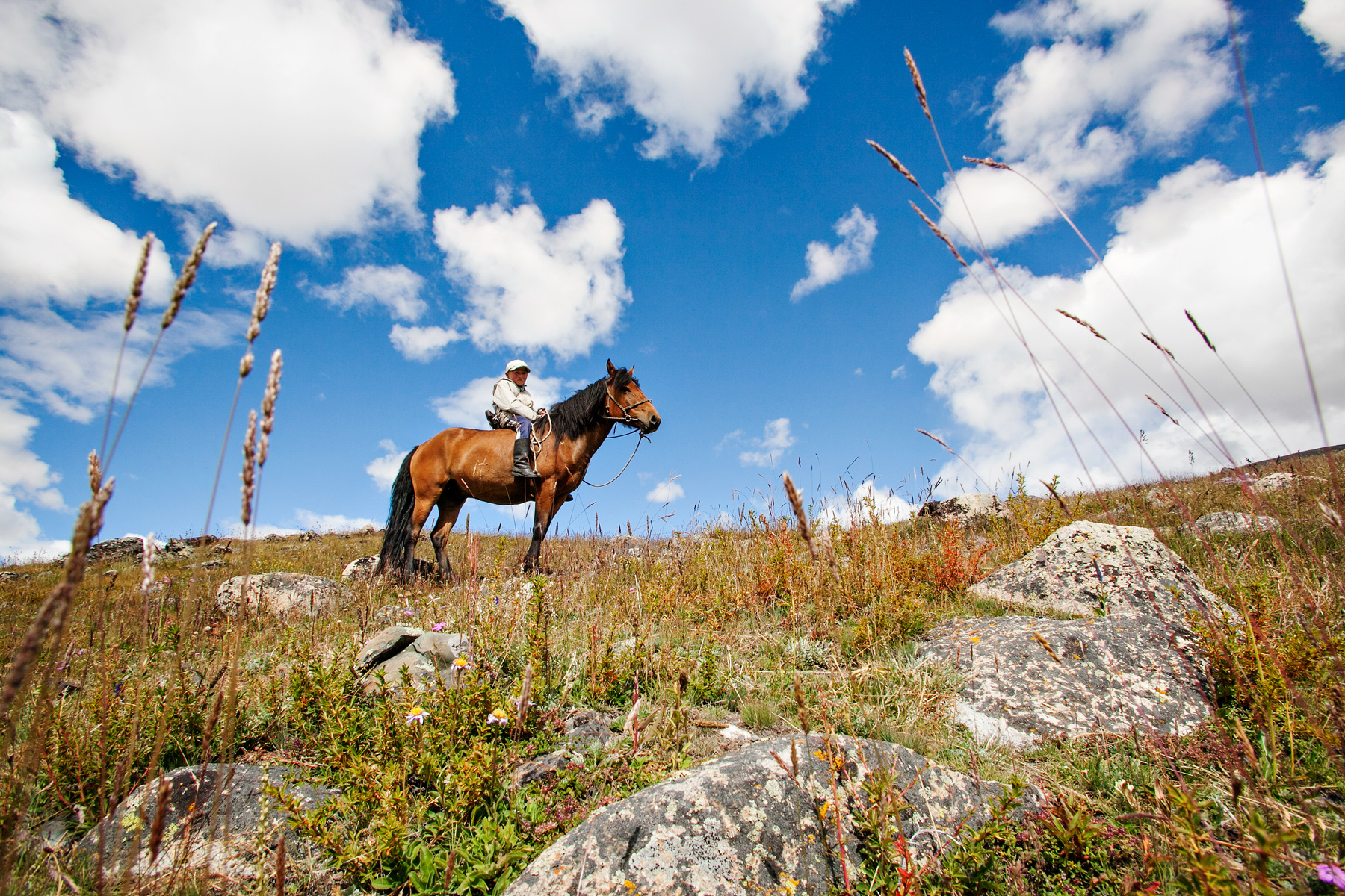 A rider on horseback pauses on a grassy hillside under a wide blue sky