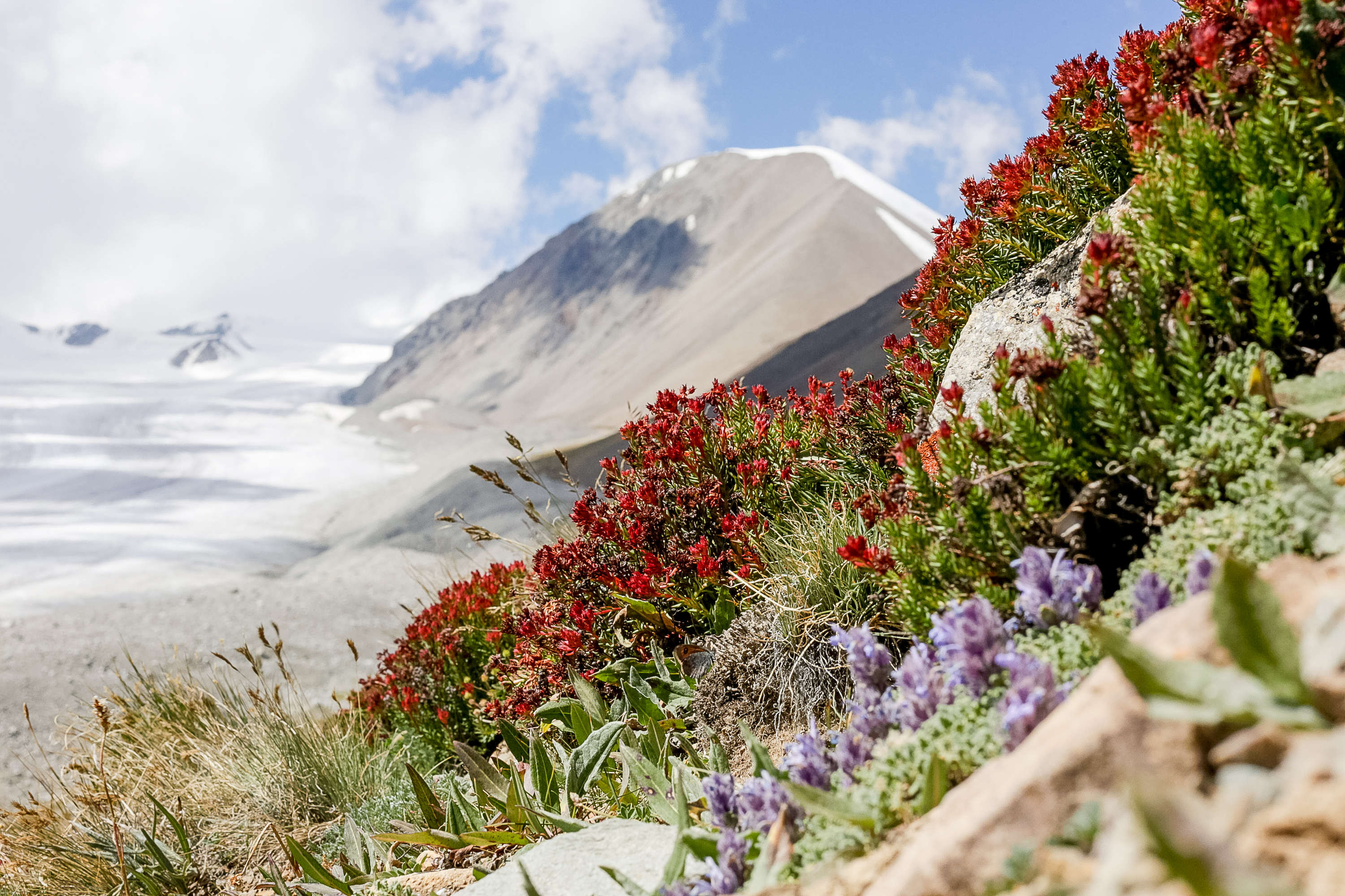 Teen travel programs in Mongolia