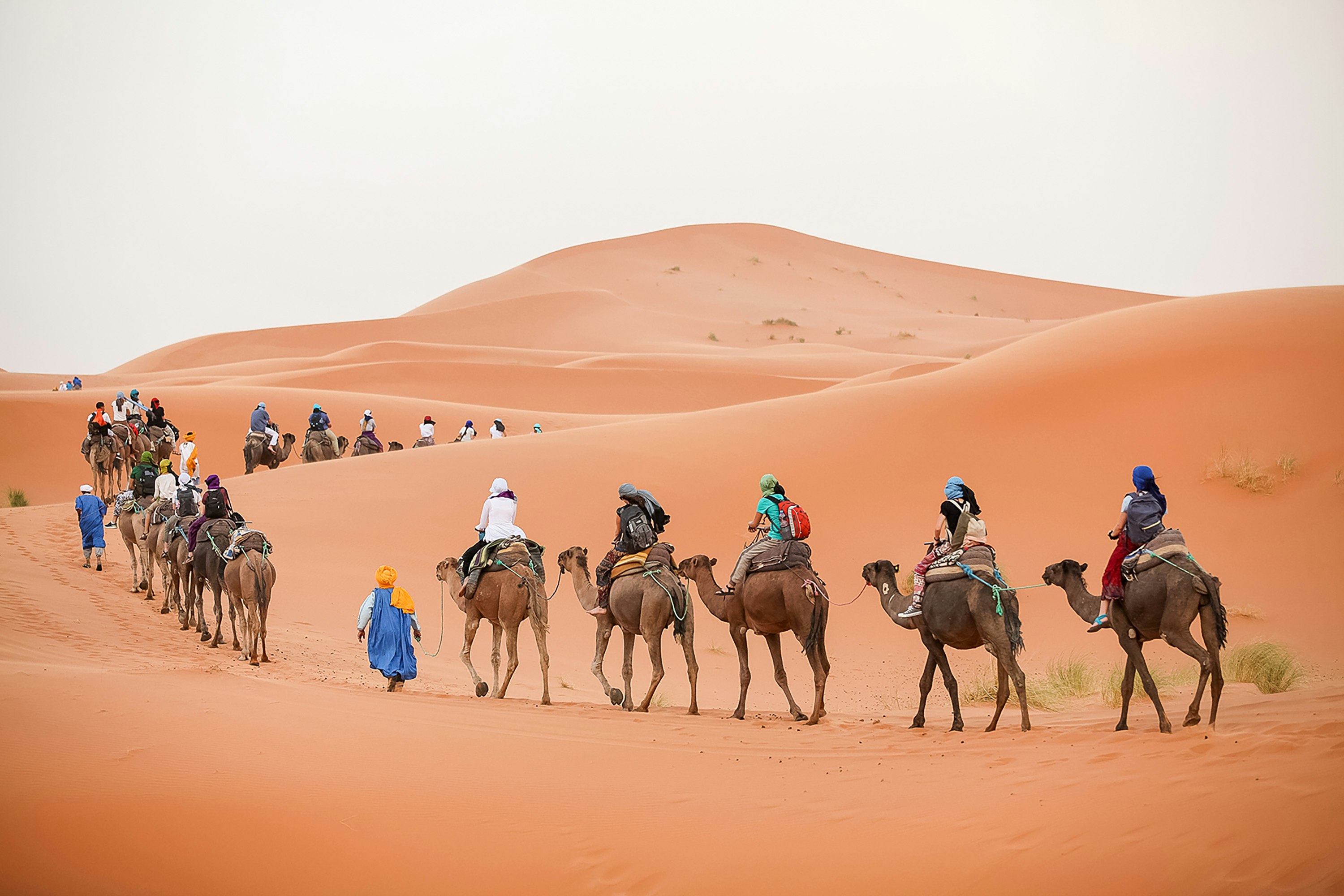 Morocco: Moroccan Wanderer