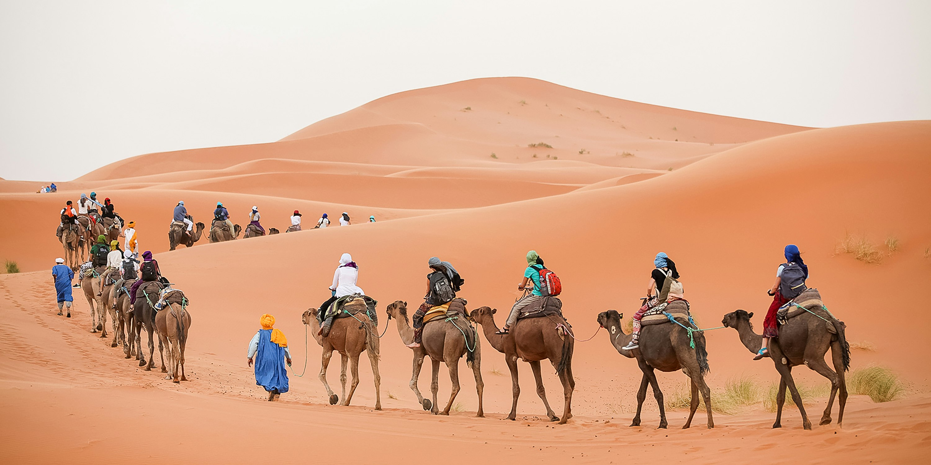 Moroccan Wanderer