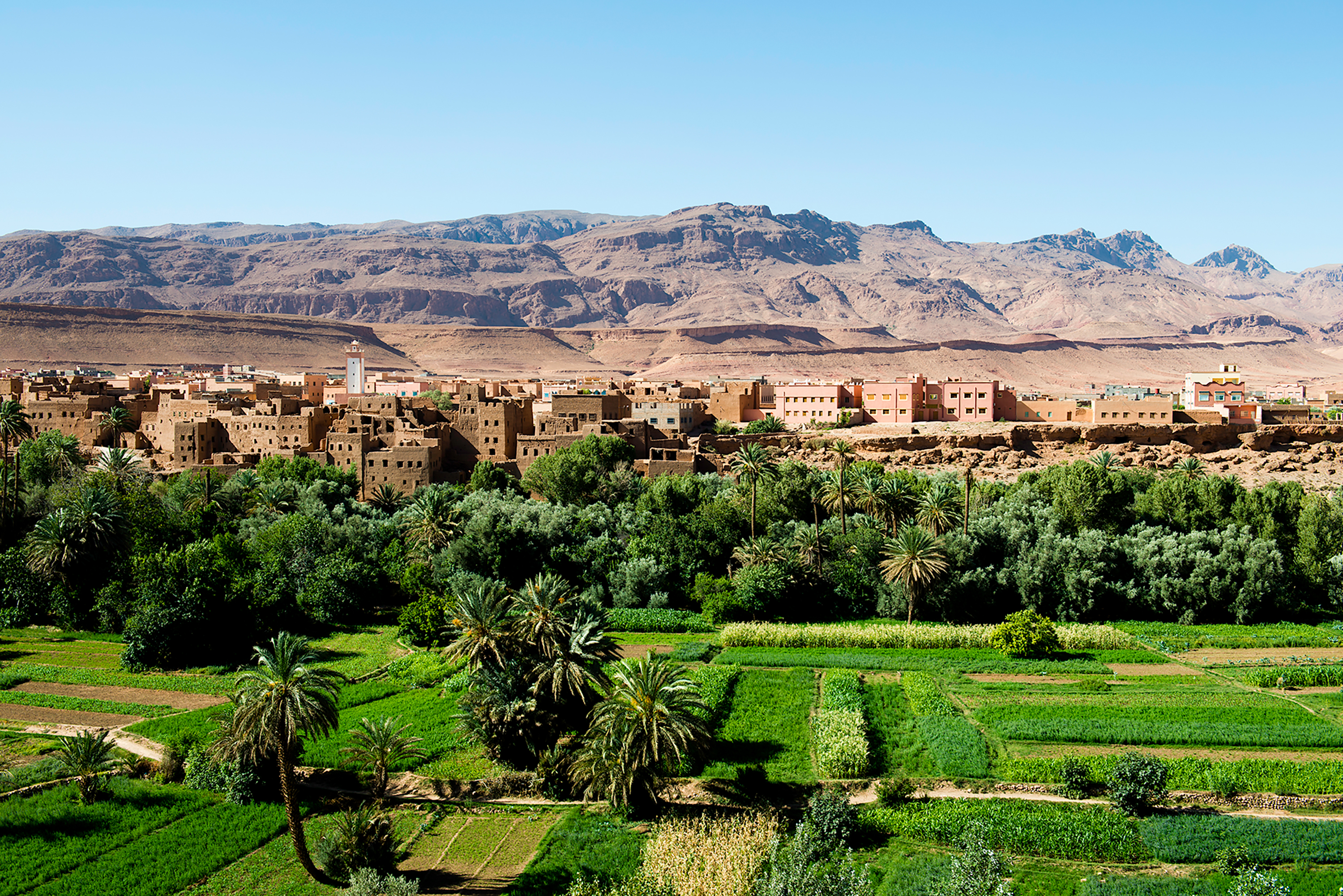 A kasbah town nestled among palm groves with mountains rising behind