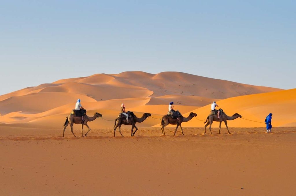 Rustic Pathways student travelers riding camels in the Sahara Desert in Morocco on a teen tour.