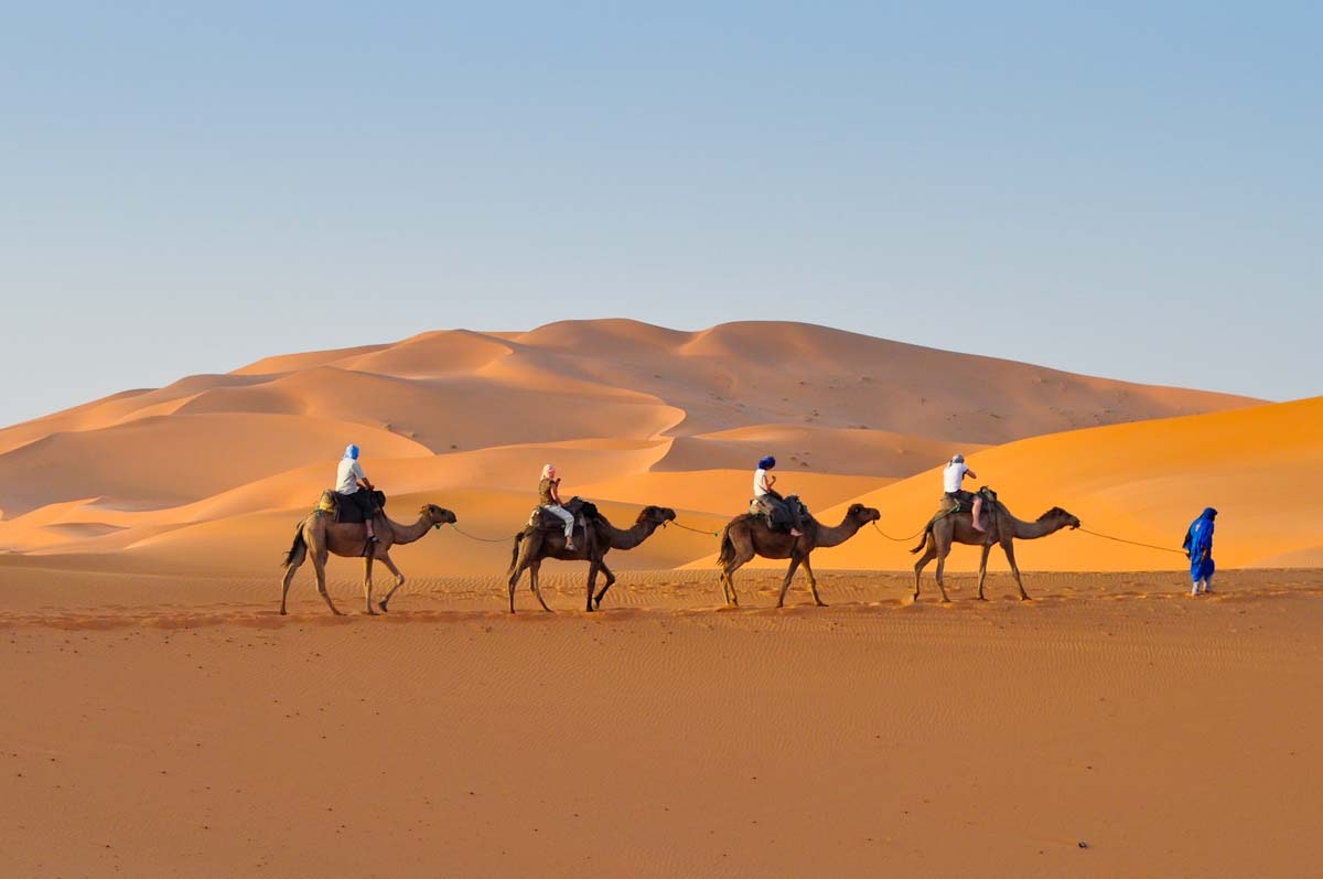 Moroccan Wanderer (College Program)