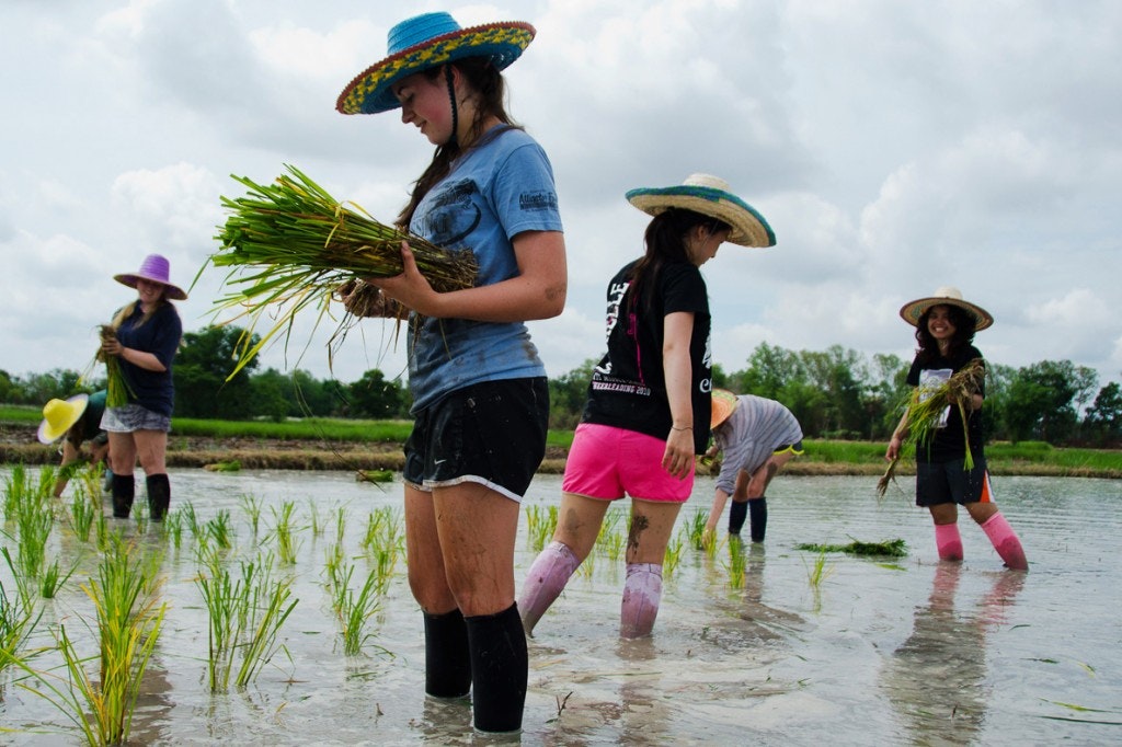 Ethical Student Volunteering Abroad | Real Impact + 20 Service Hours