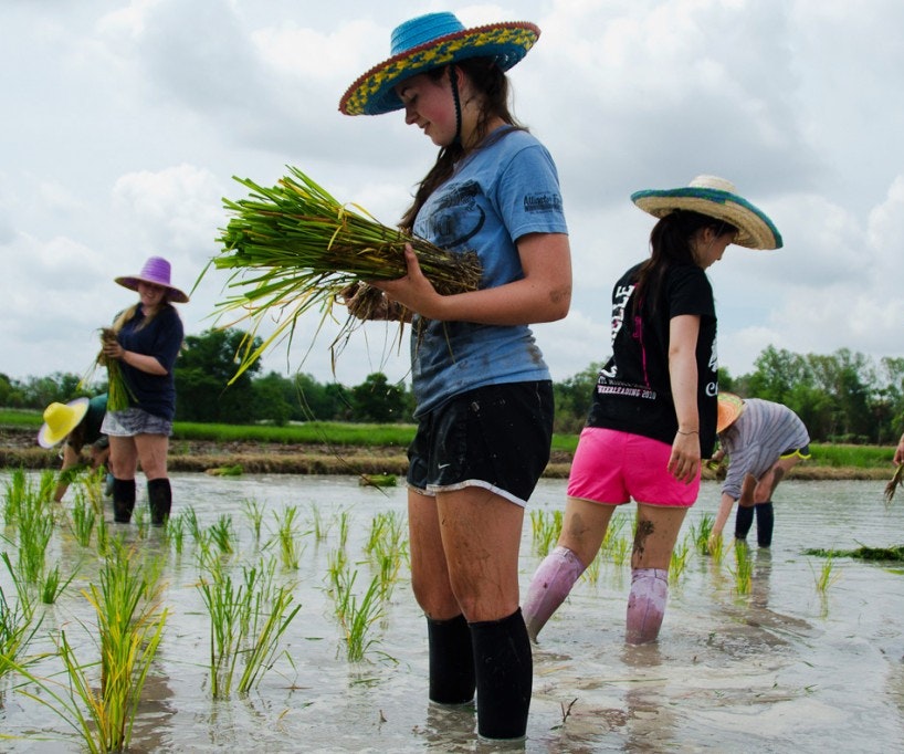 Ethical Student Volunteering Abroad | Real Impact + 20 Service Hours