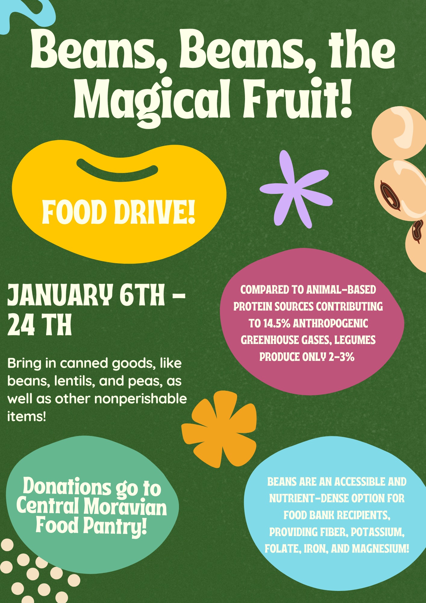 Maddie Yang - The Power of the Humble Bean: Helping Climate Change One Can at a Time - Image 1