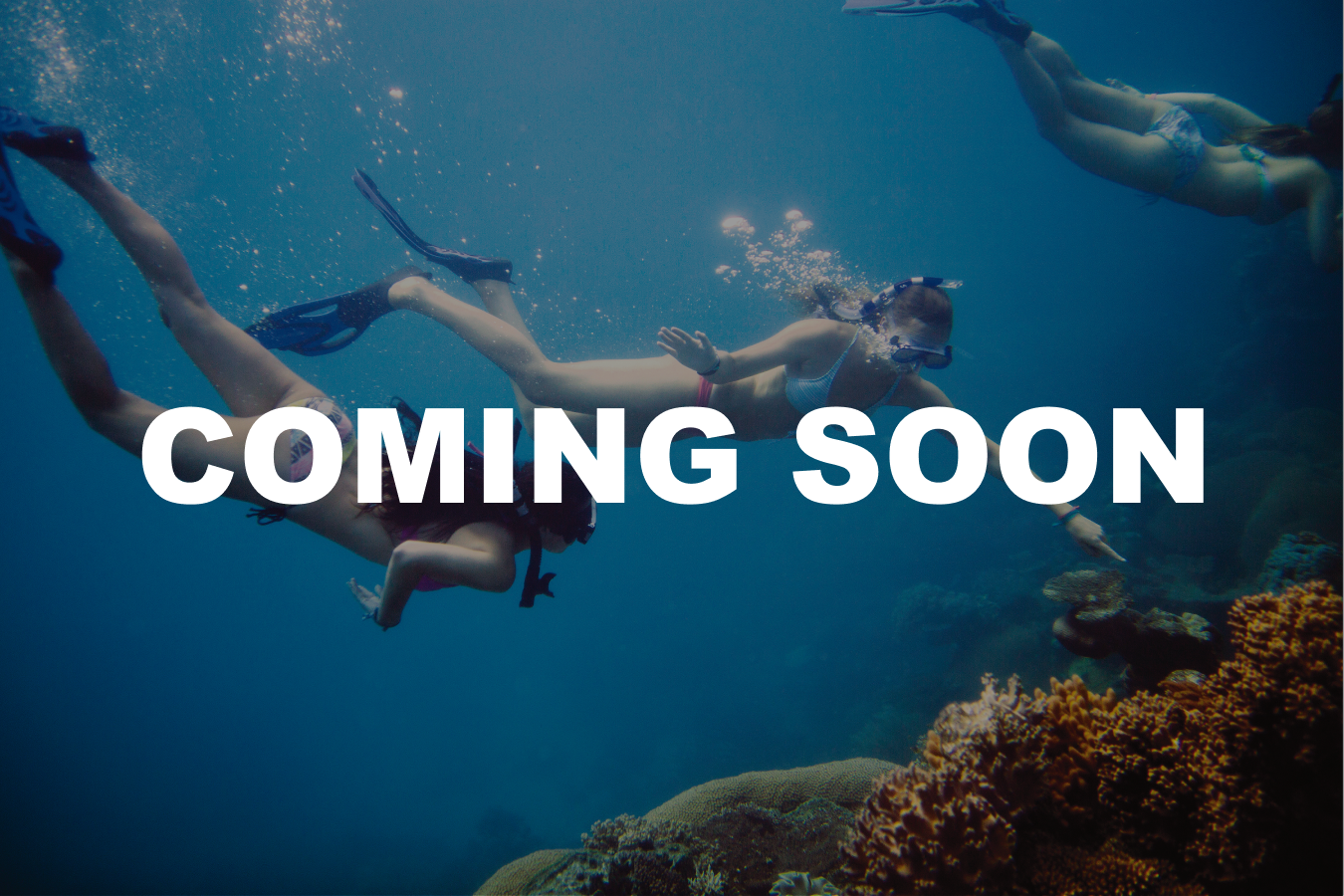 Marine_Service_and_Adventure_Cover_Photo_COMING SOON Card Photo