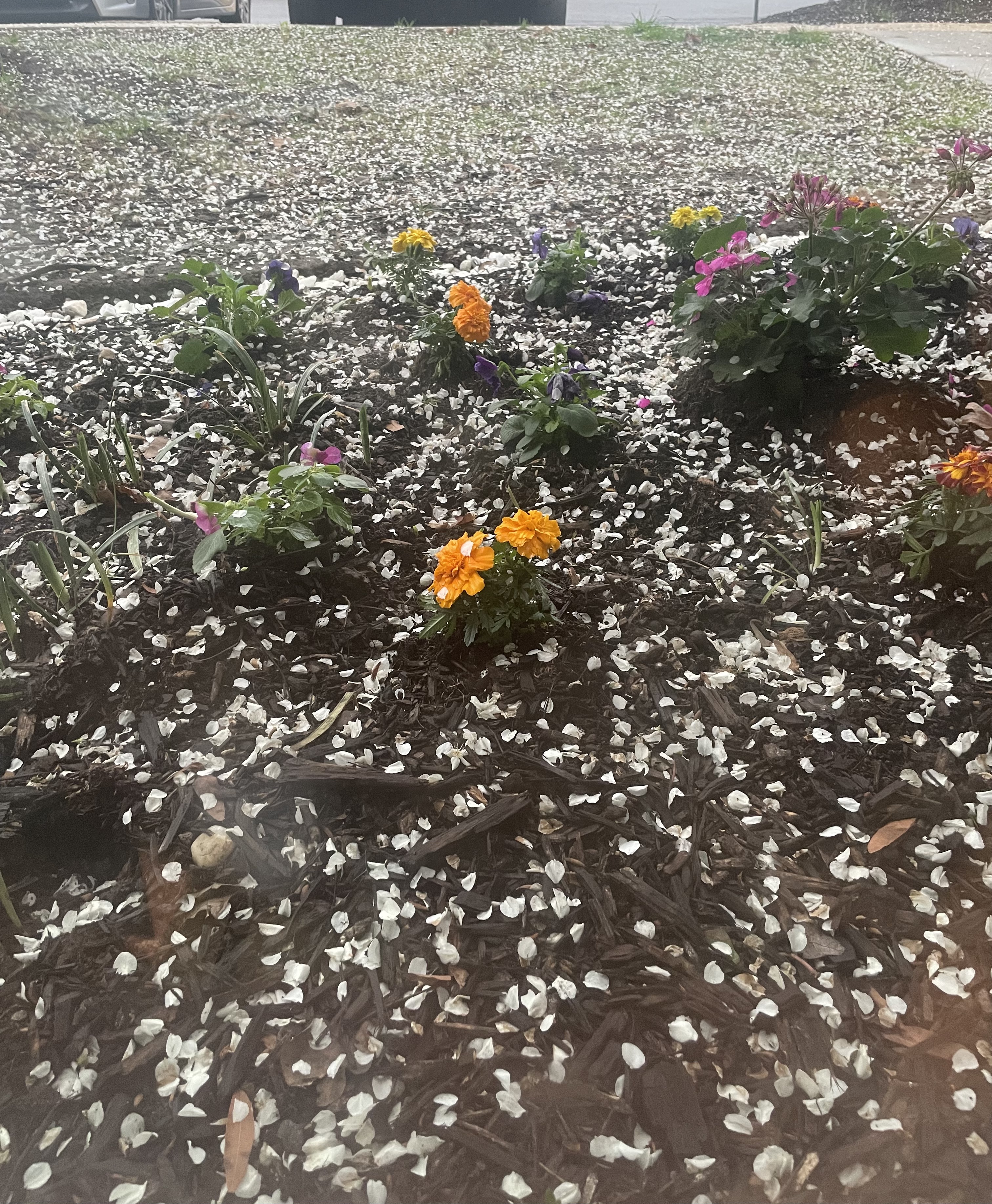 Mary Mekonnen - From Waste To Wonder - Image 1