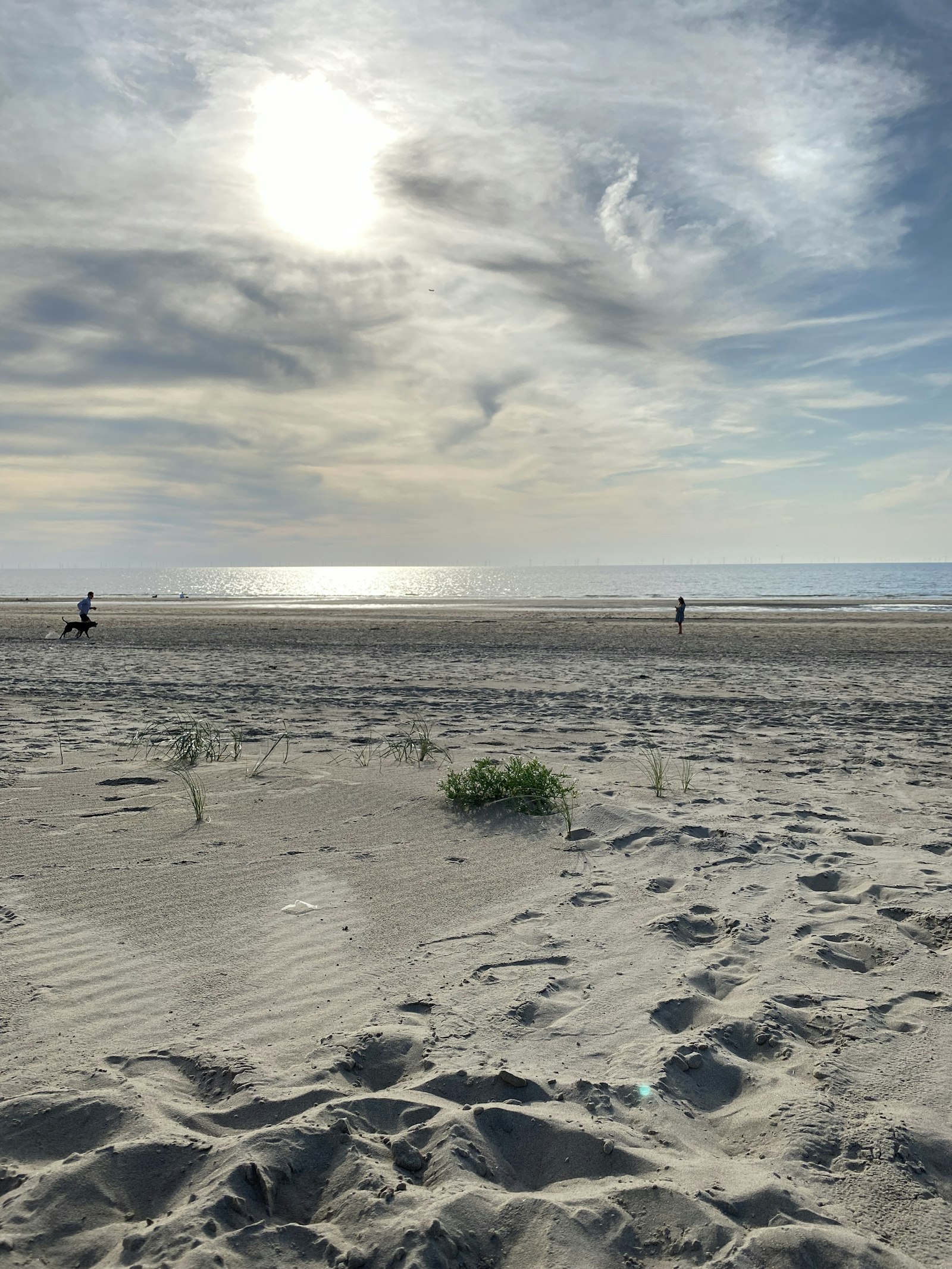 The broad North Sea beach at Noordwijk with footprints across the sand, marram grass on the dune edge and a low sun behind cloud over the water.