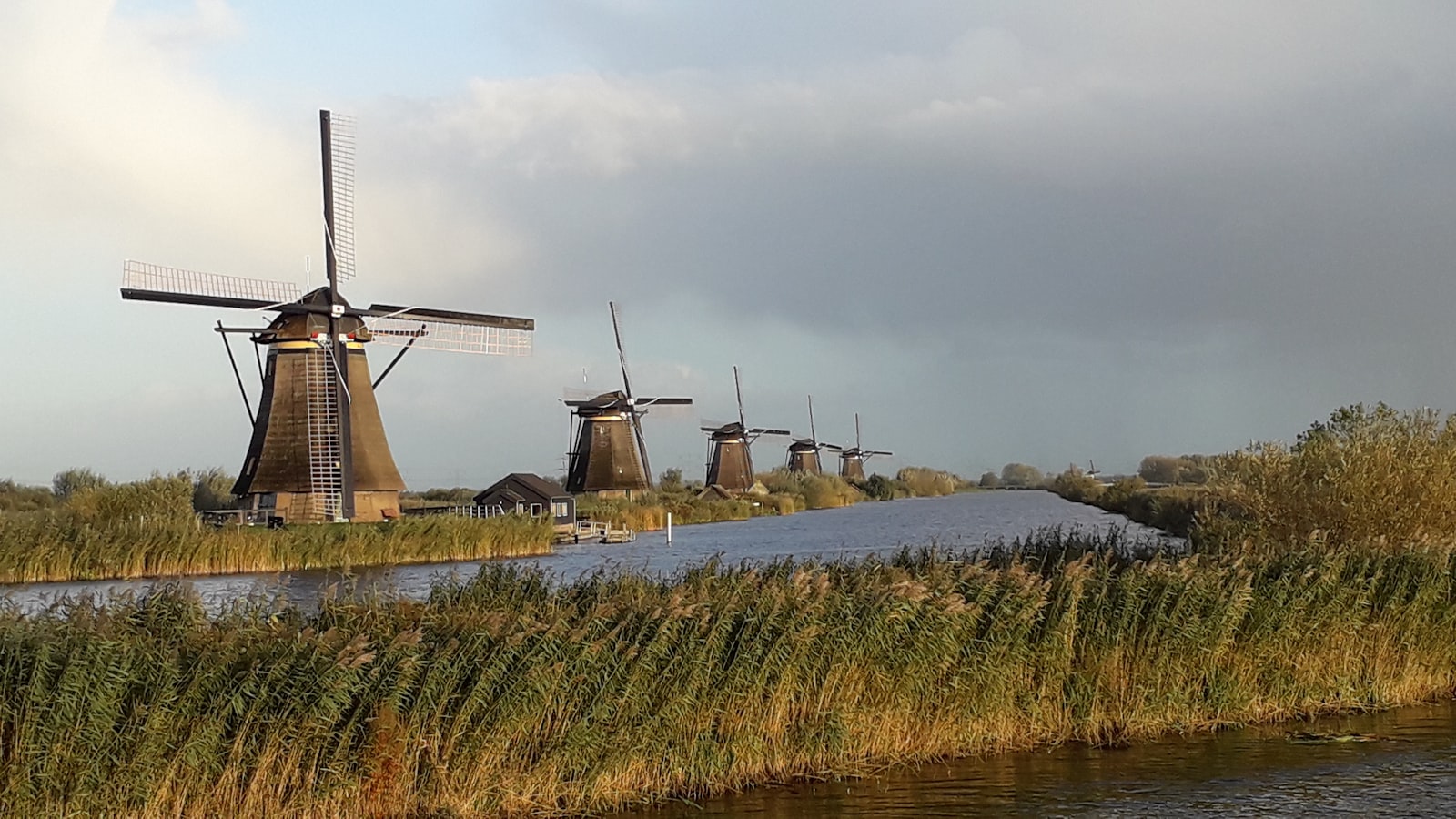 Five thatched windmills standing in a line along a reed-lined canal at Kinderdijk, under a wide grey and blue sky.