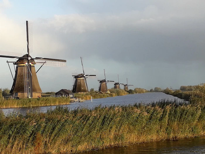 Five thatched windmills standing in a line along a reed-lined canal at Kinderdijk, under a wide grey and blue sky.