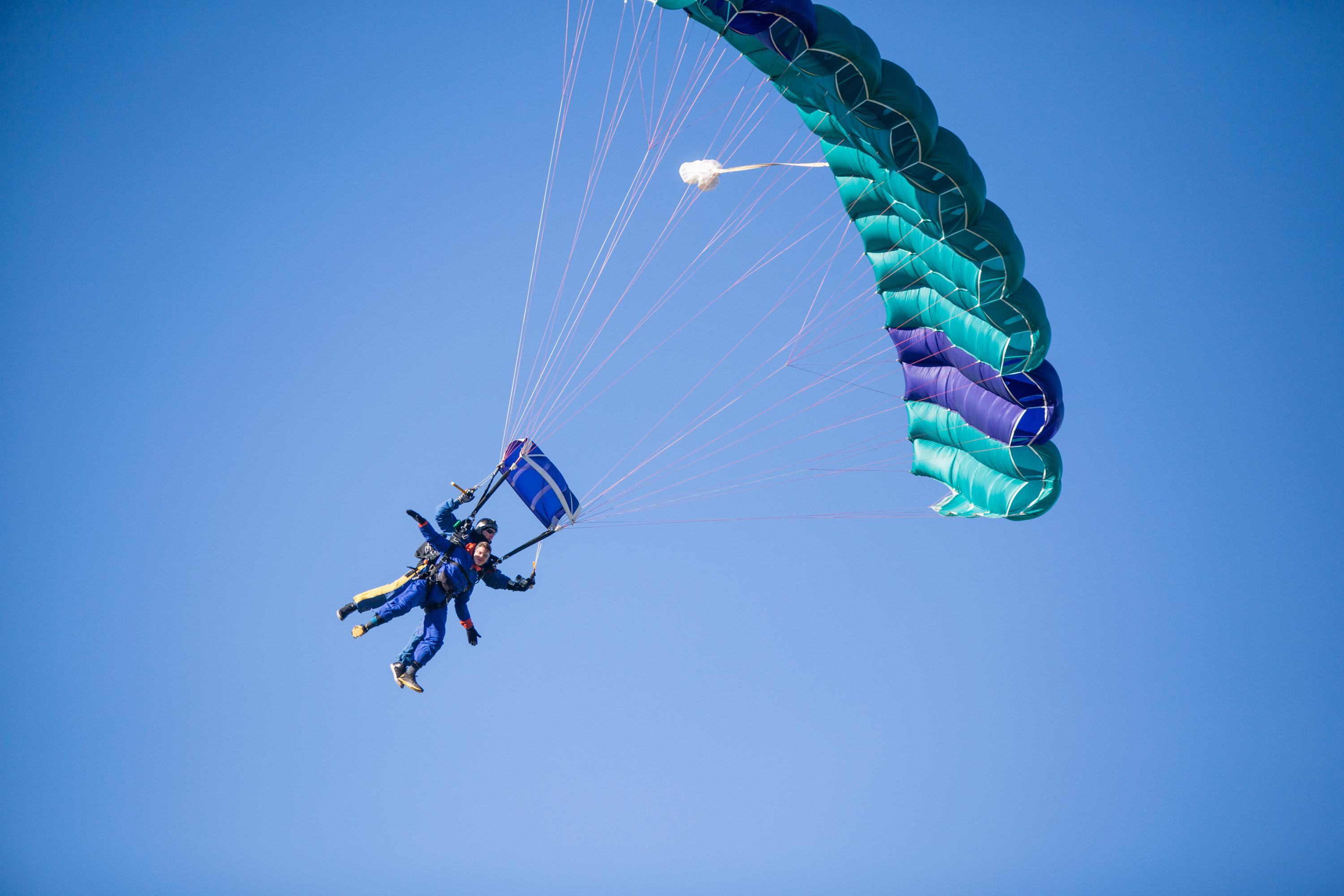 Students descend in a tandem skydive under a teal and purple parachute against a clear blue sky