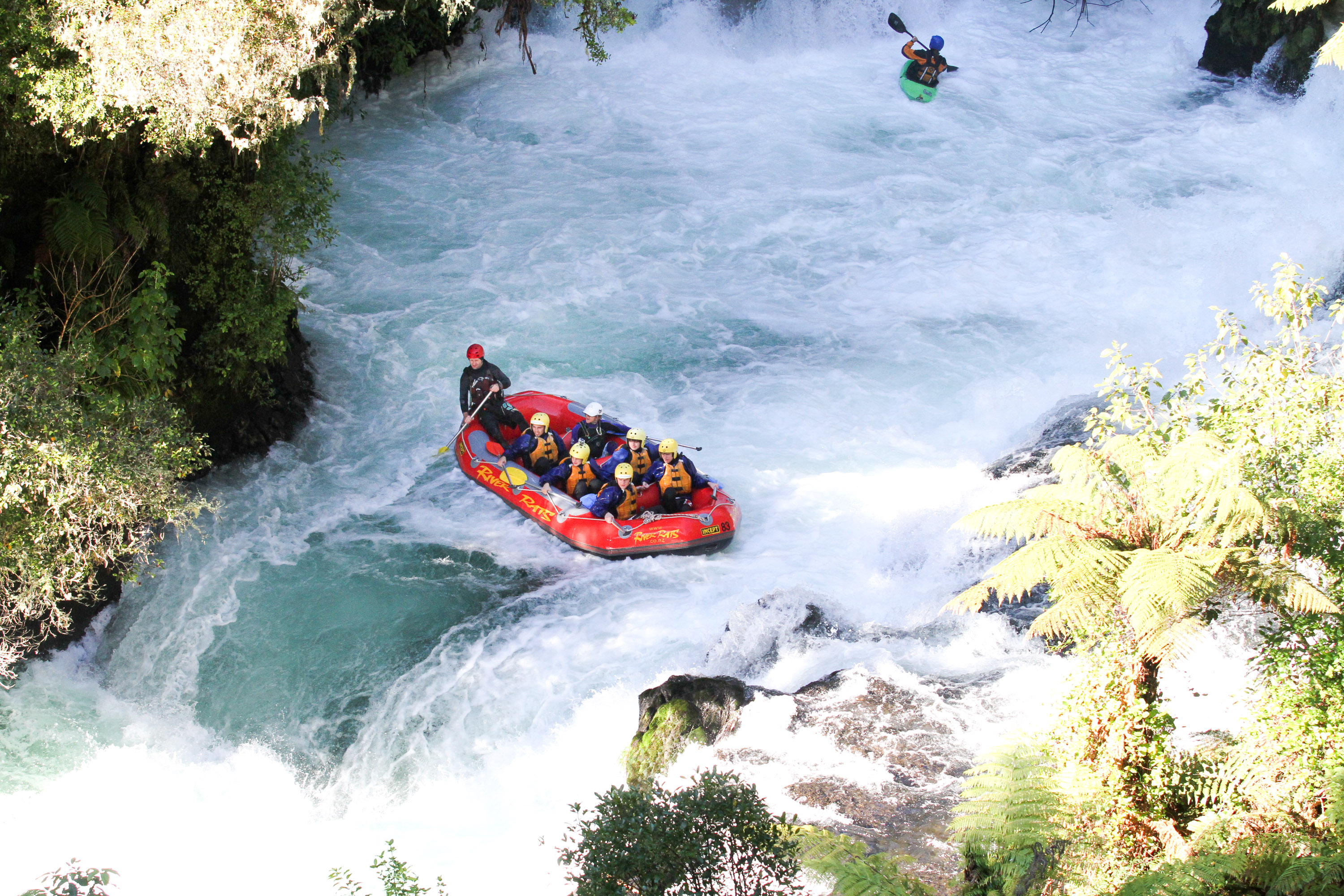 A red raft of paddlers in helmets and lifejackets drops through whitewater between rocks and tree ferns.