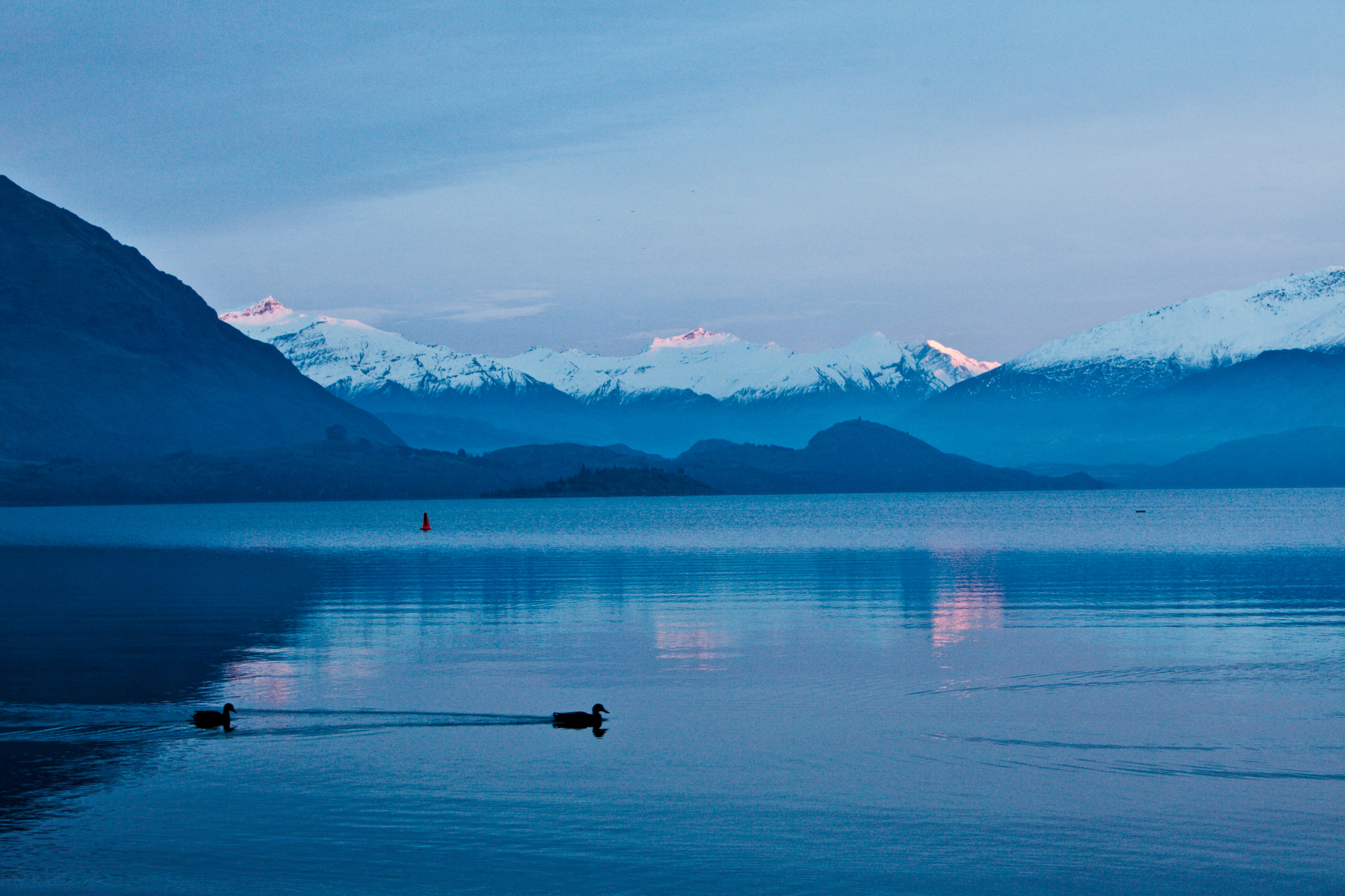 Snow-capped mountains reflect in a calm lake at dusk as birds float on the water