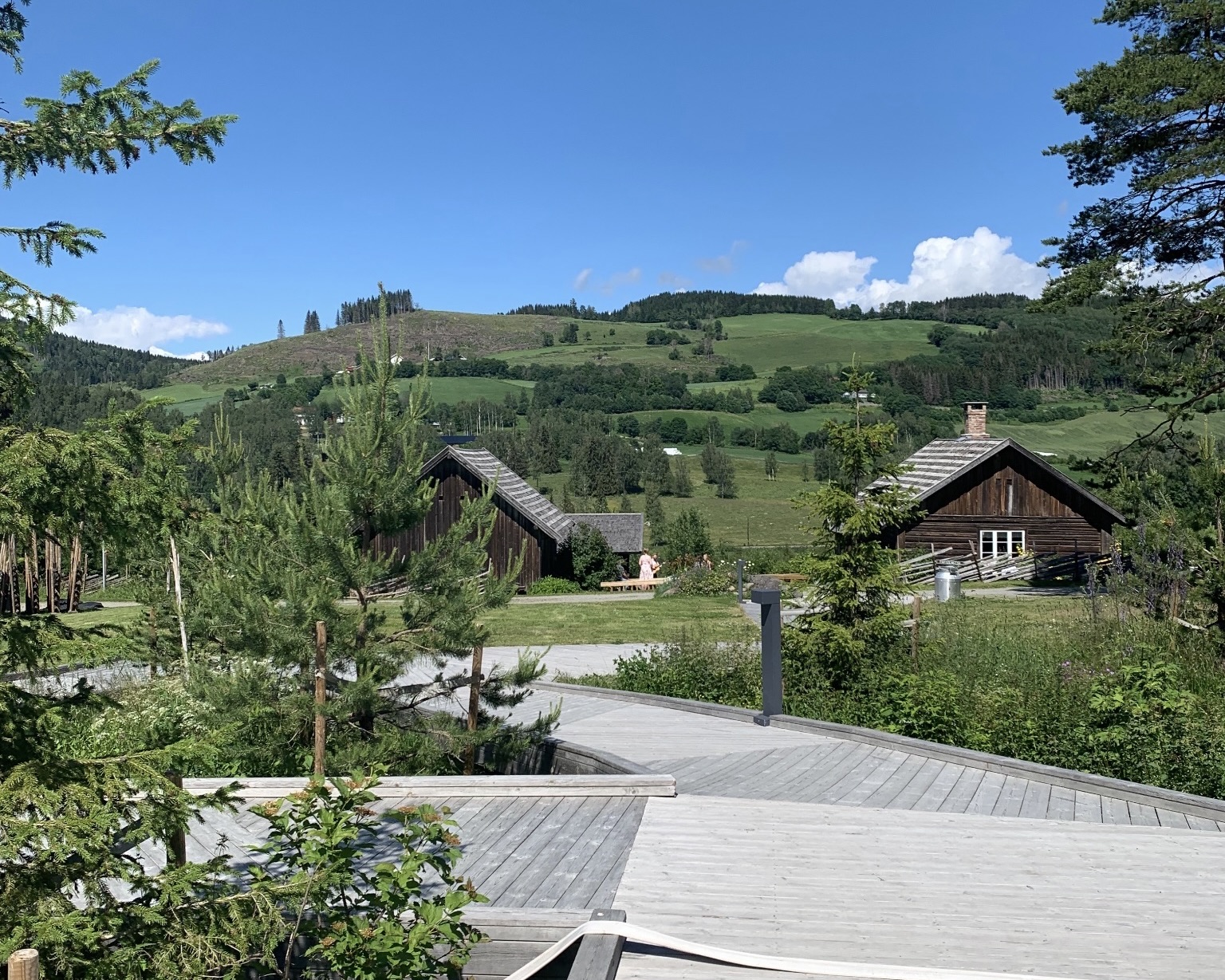 Nordic Summer Adventure: 10 Days in Scandinavia