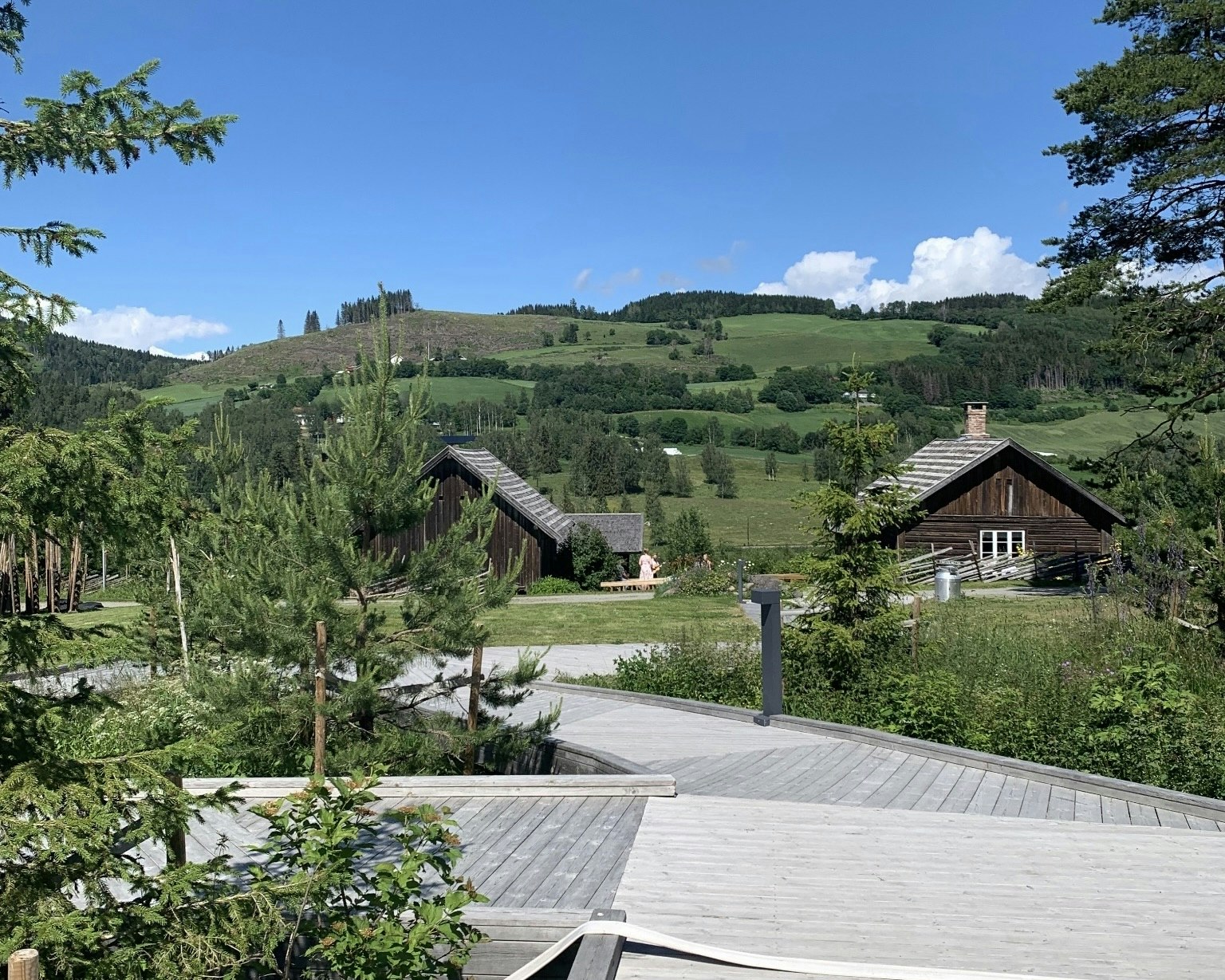 Nordic Summer Adventure: 10 Days in Scandinavia
