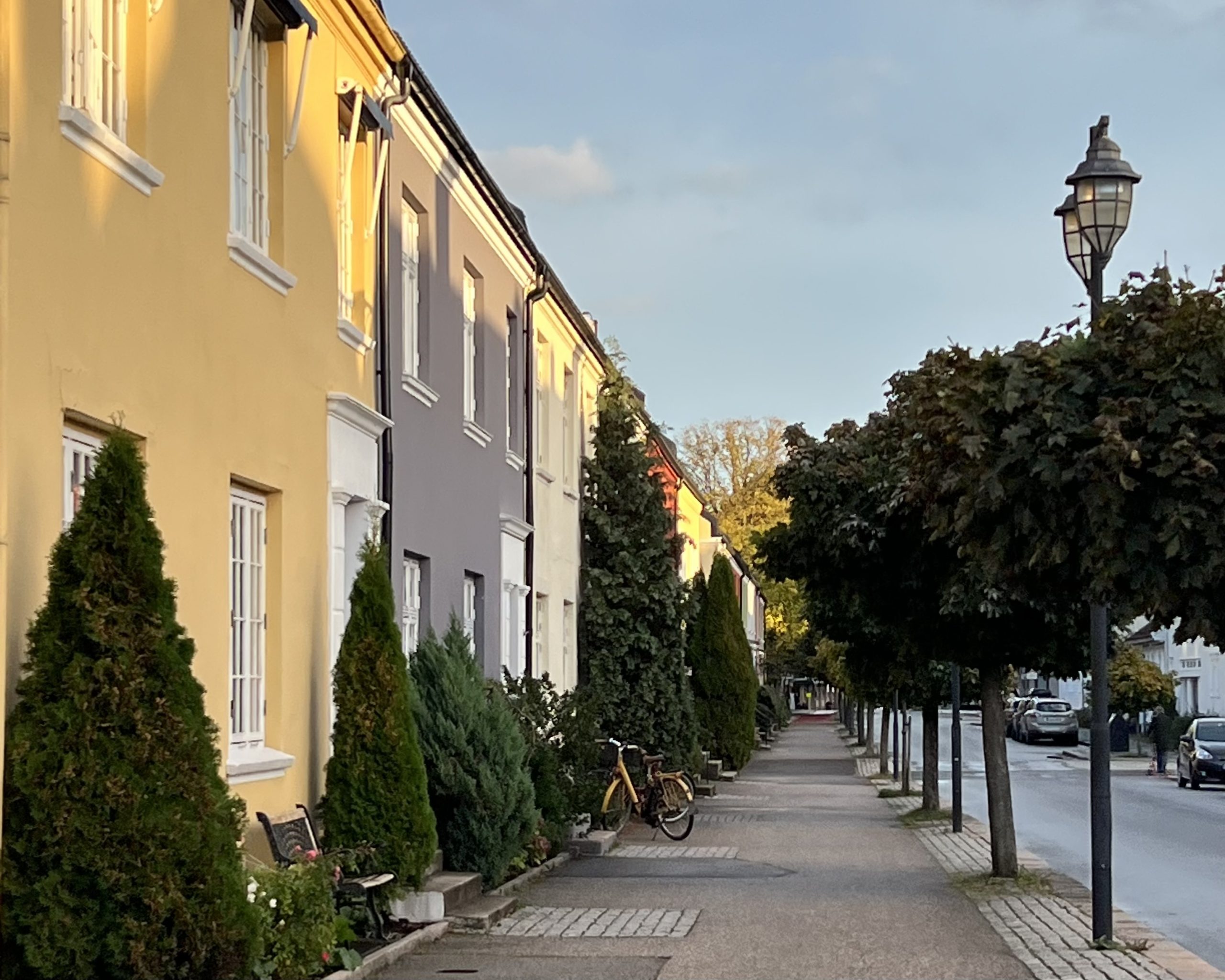 A quiet cobblestone street lined with colorful row houses and trees
