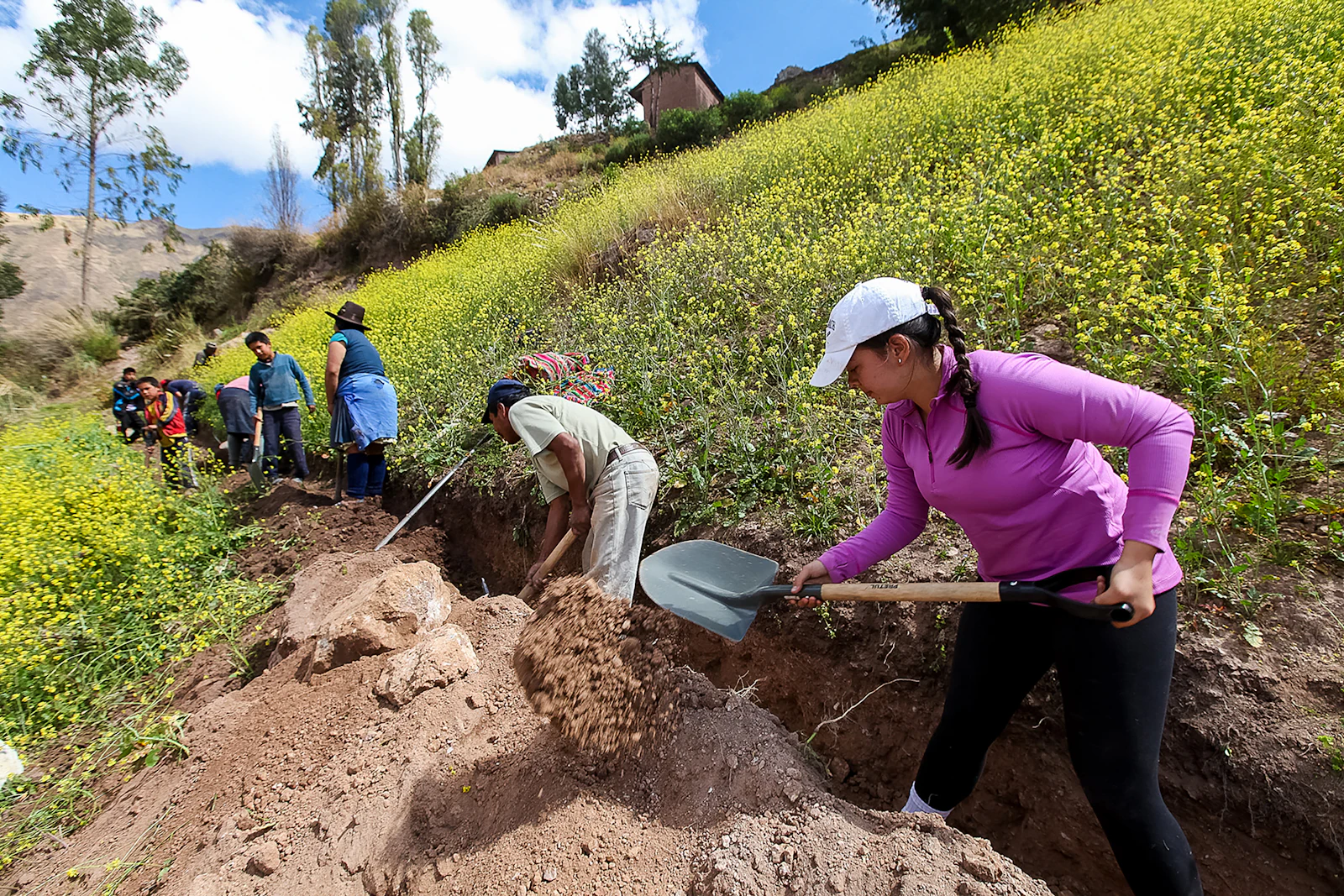 A teen traveler in a pink jacket shovels soil from a trench on a hillside of yellow wildflowers while others dig behind her